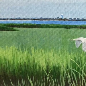 Snowy Egret