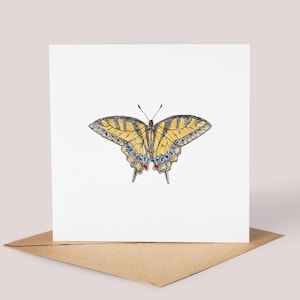 Carte illustrée papillon / / carte papillon machaon, papillon britannique, aquarelle, carte peinte à la main, nature britannique