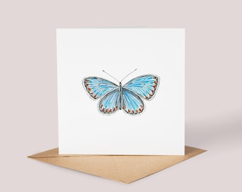 Cartão ilustrado de borboleta // Cartão de borboleta azul comum, borboleta britânica, arte em aquarela, cartão pintado à mão, natureza britânica