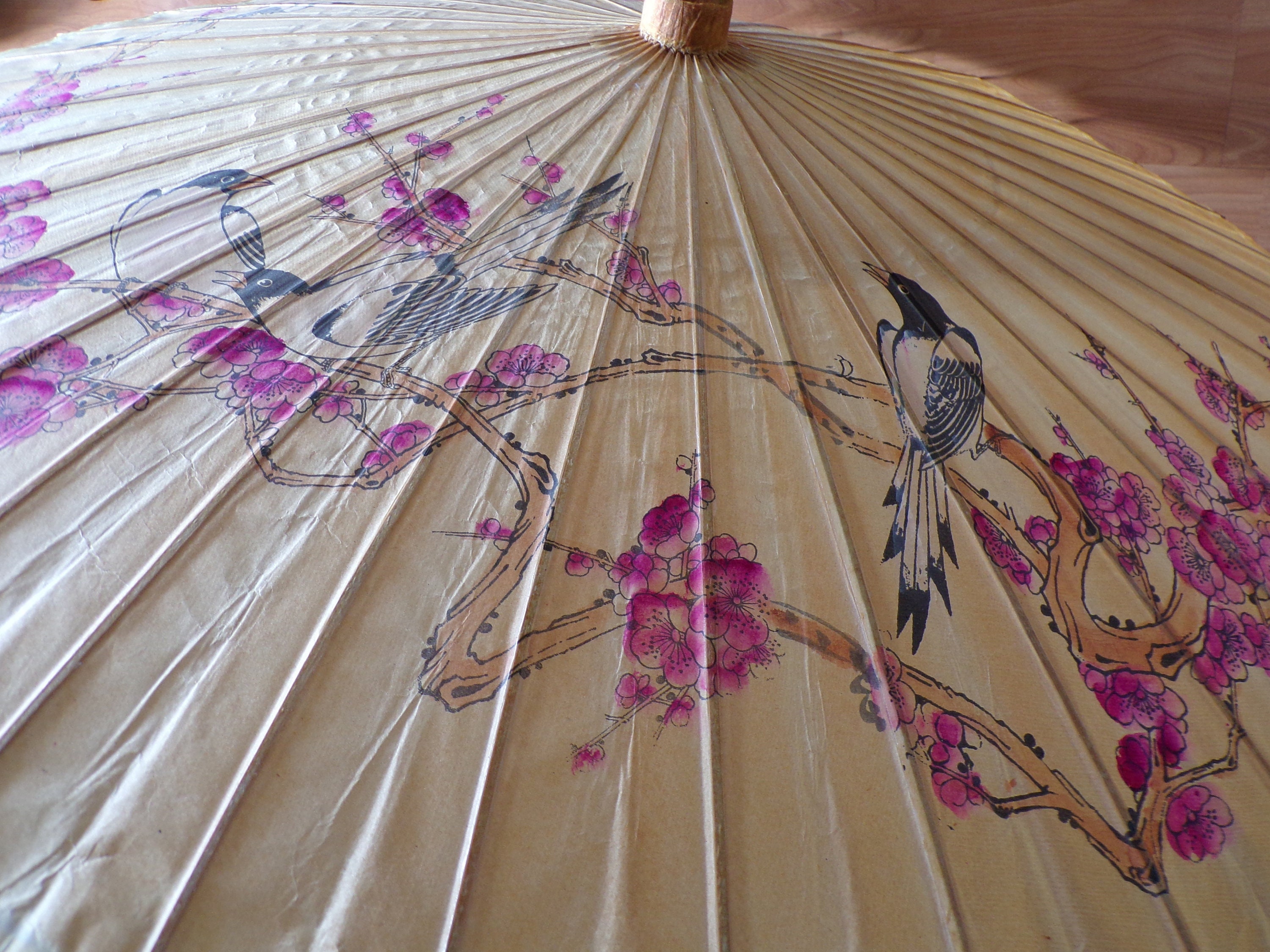 Accessoires Paraplus & regenaccessoires PARASOL Victorian Dusty Pink Flowers Green Leaves Knotted Wood Handle Late 1800's Beautiful Silk All Original Good Vintage Condition 