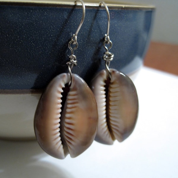 Snakehead Spotted Cowrie Shell Earrings with sterling silver  or brass earwires