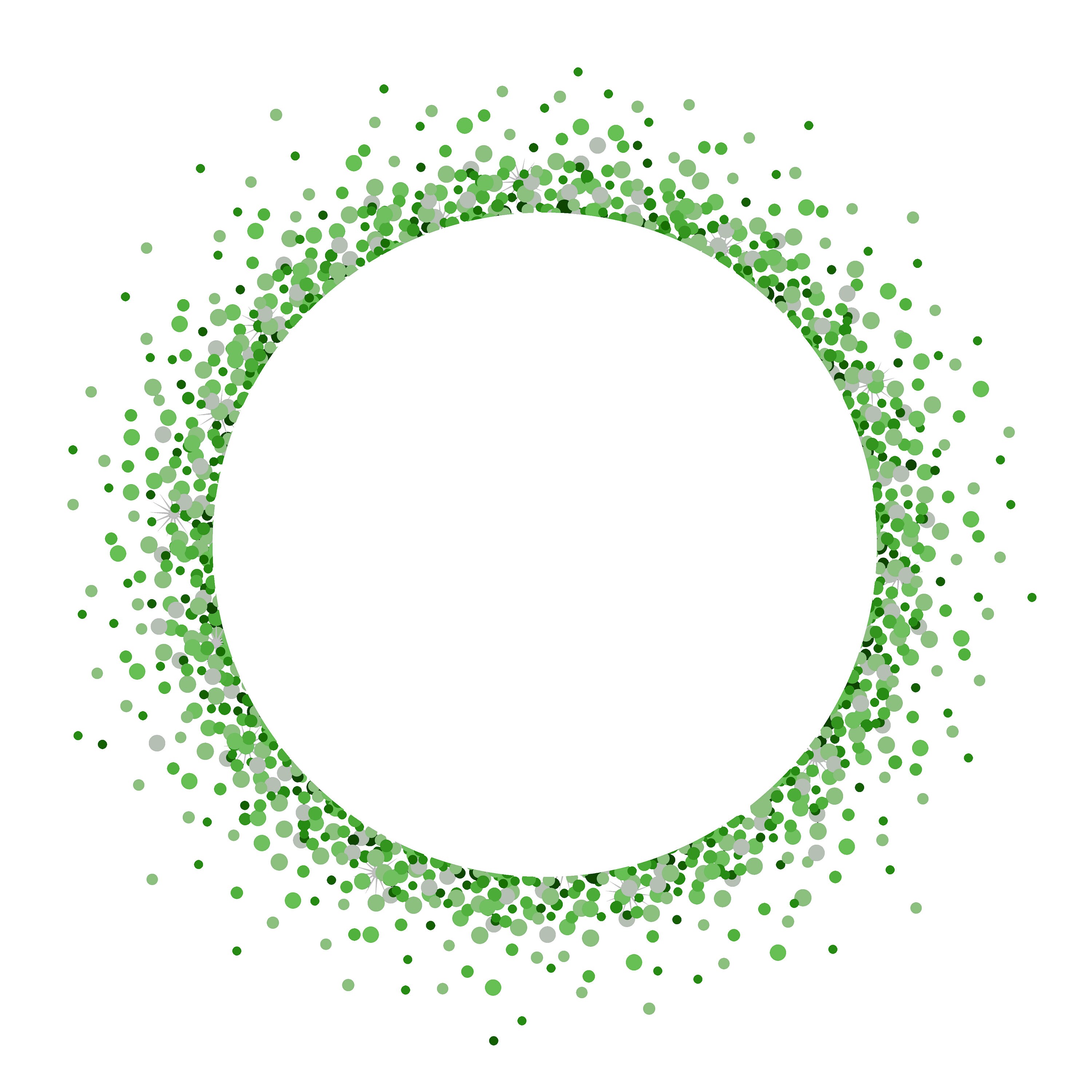 Green Confetti Circle Border Design JPG and PNG Digital Etsy