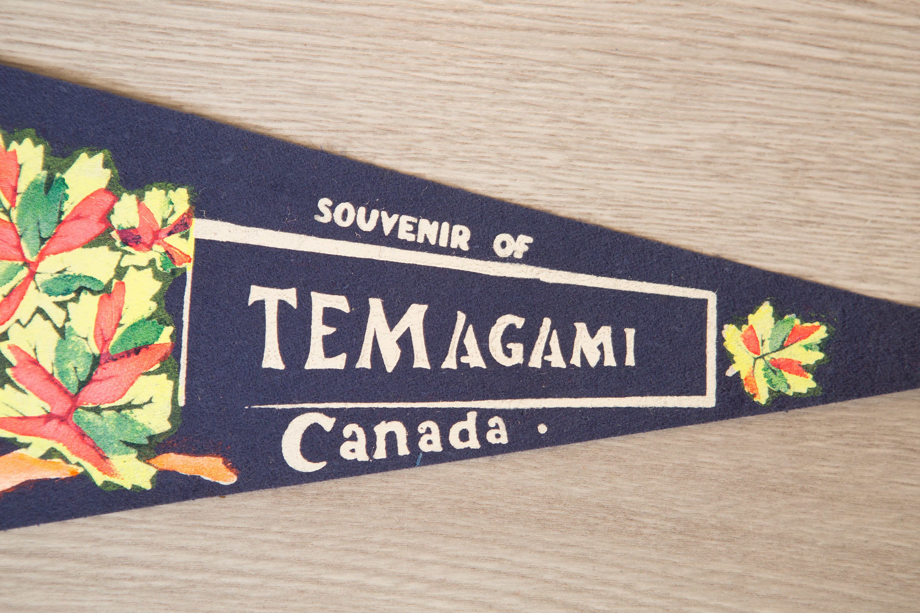 Temagami, Canada Pennant Vintage Canadian Felt Souvenir Hanging