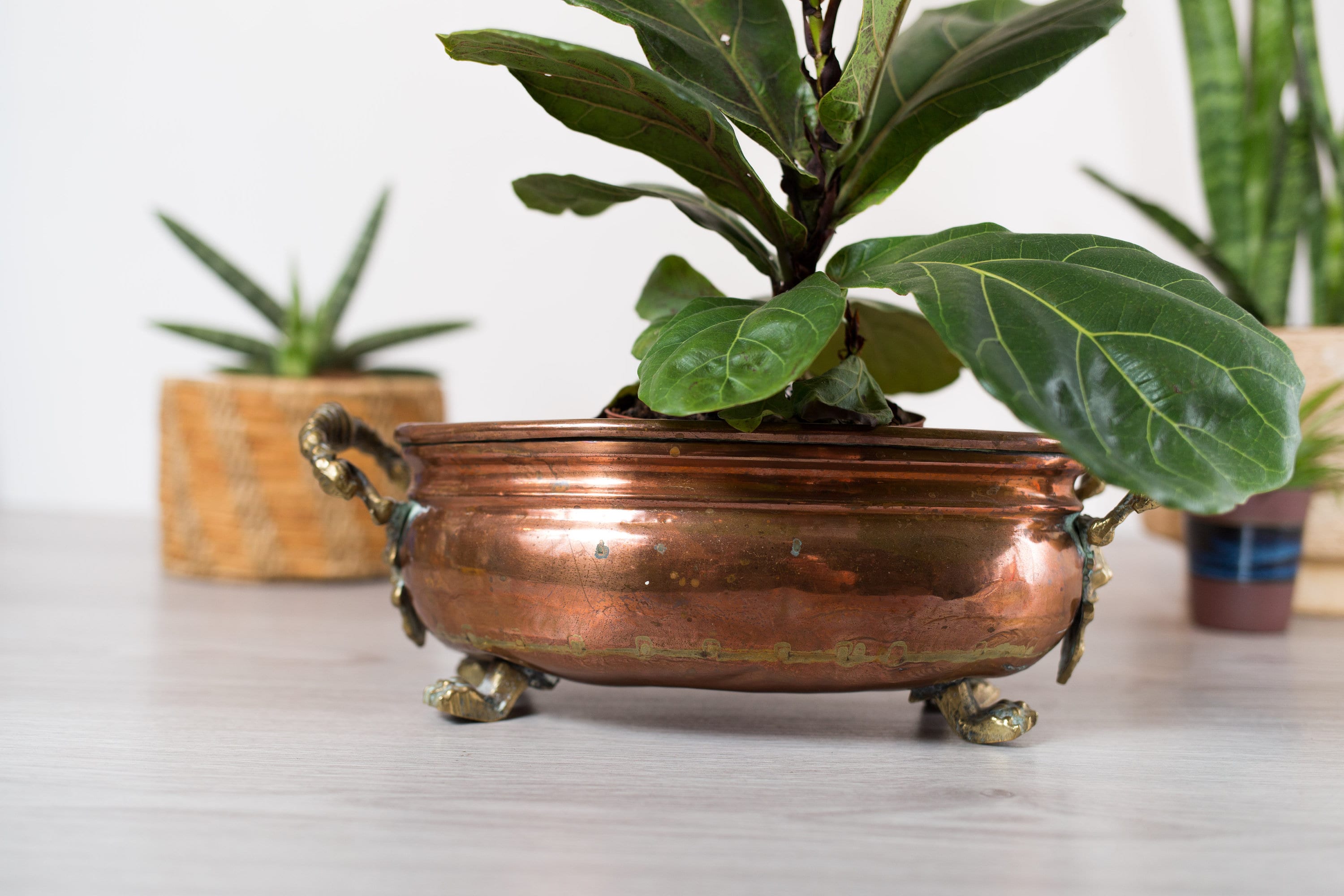Vintage Copper Planter Oval Metal Pot with Brass Handles and Feet Retro Metallic Pot for