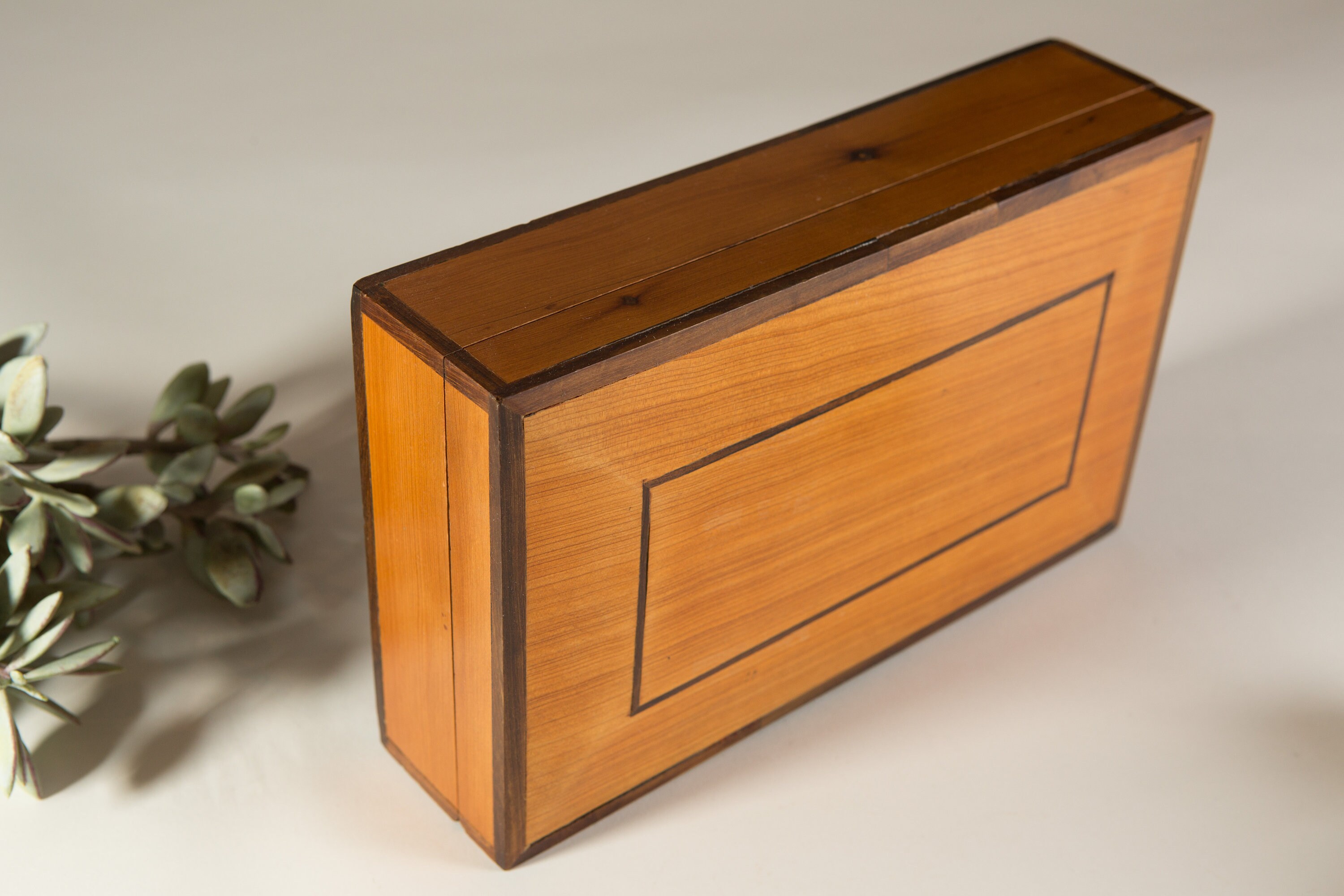 Wood Cigar Humidor Dunhill Birds Eye Maple Veneer Cedar Wood Cigar