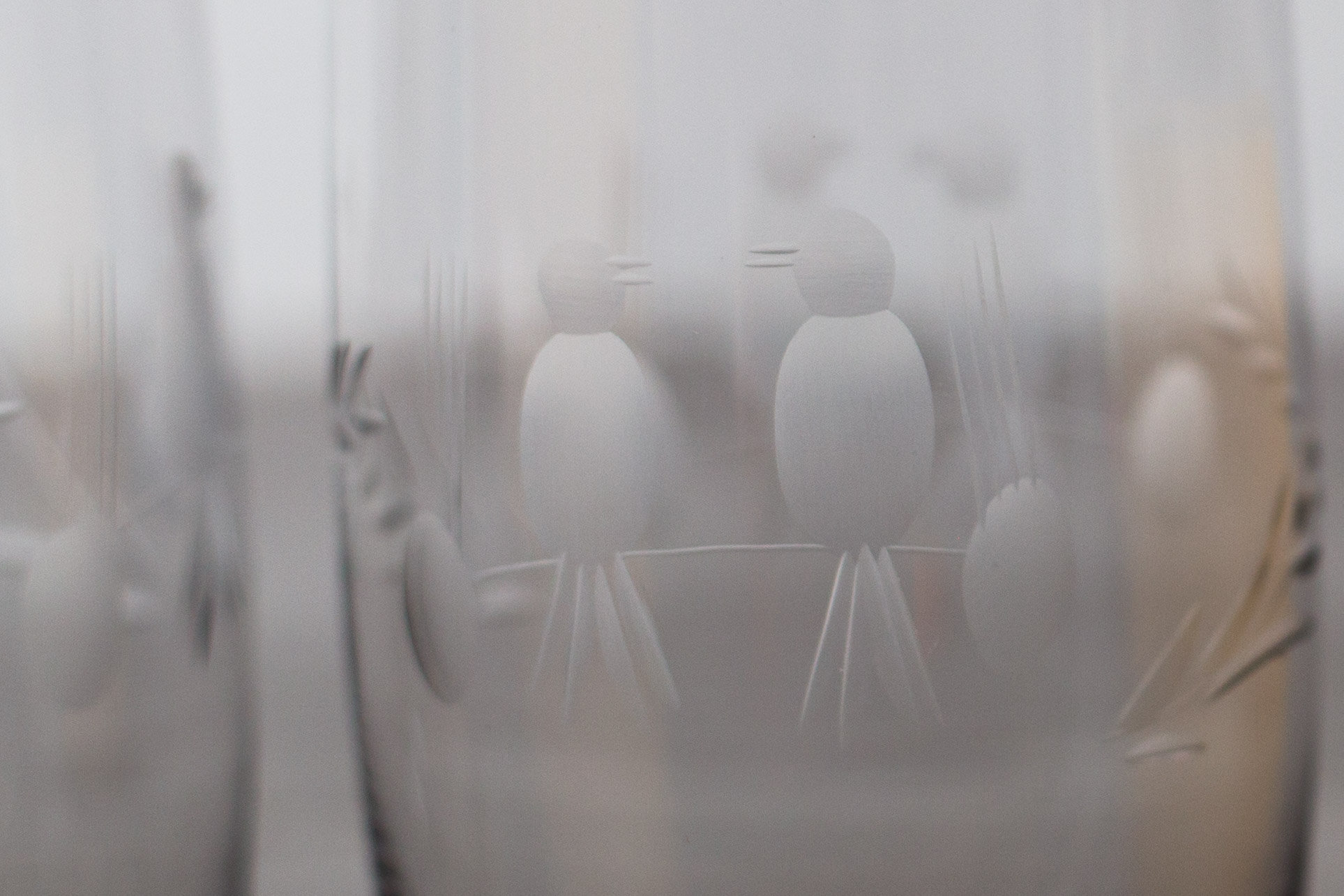 10 bird Cocktail Glasses Etched Lovebirds Glassware Parrot Sitting