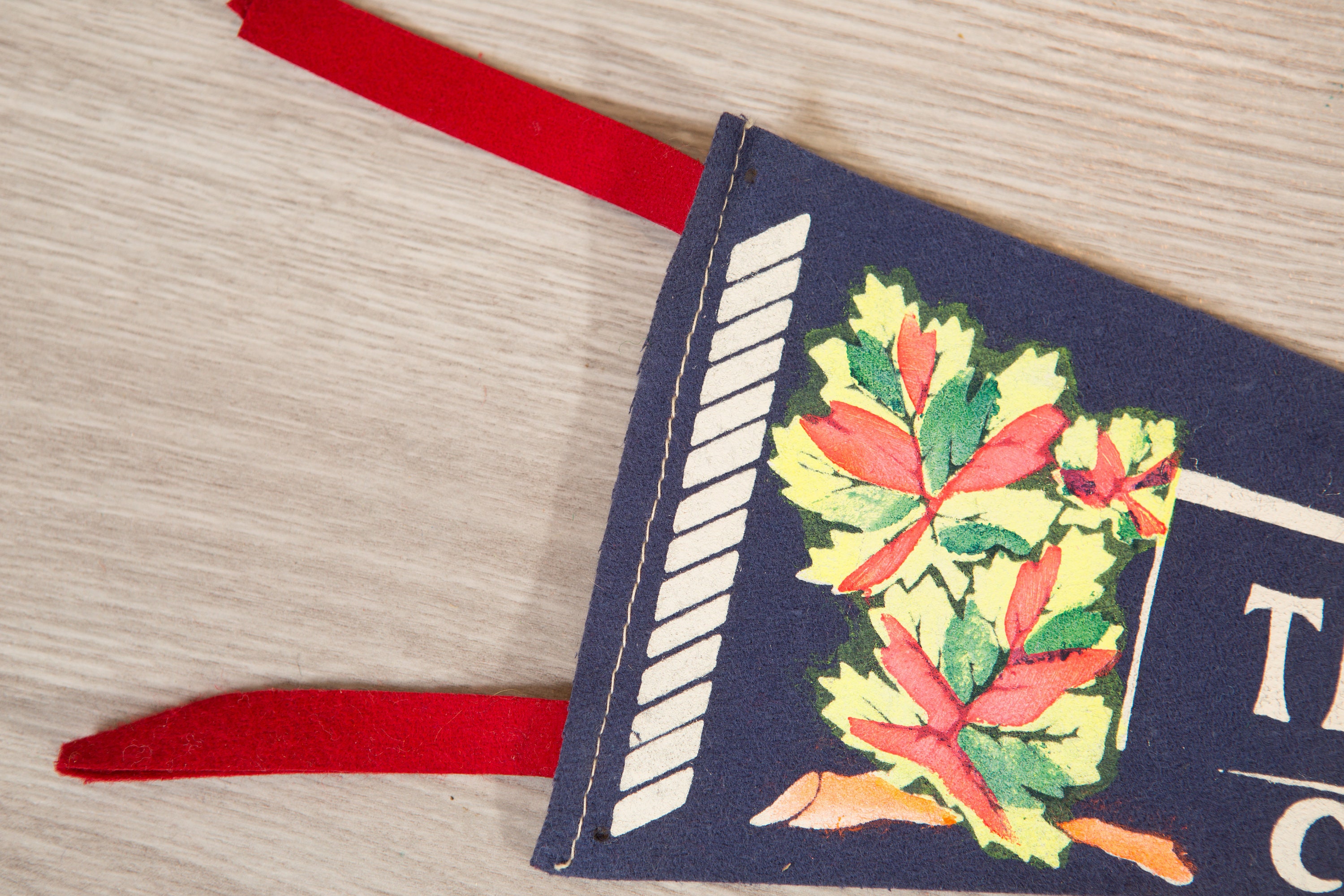 Temagami, Canada Pennant Vintage Canadian Felt Souvenir Hanging