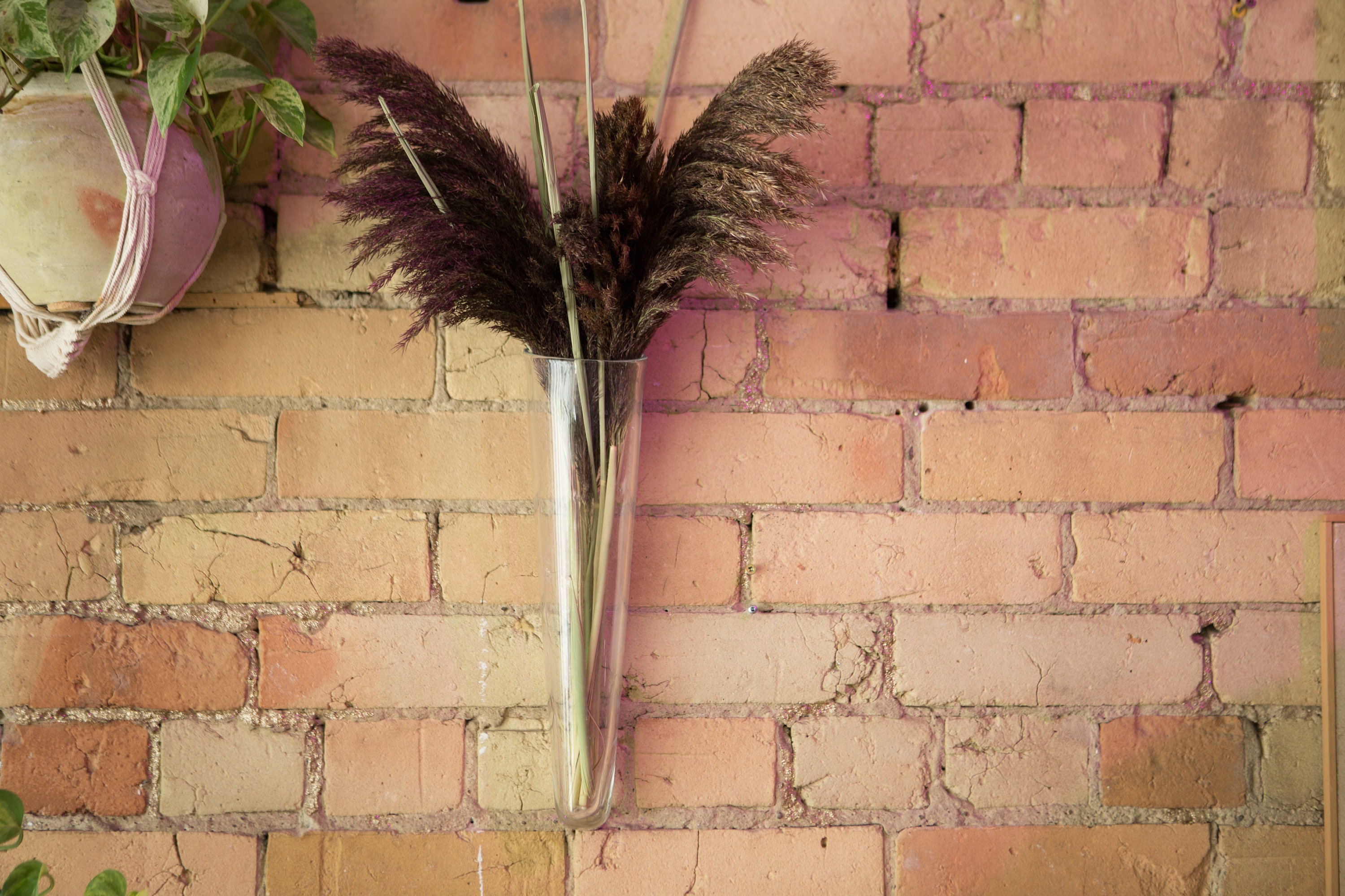 Glass Wall Vase Clear Glass Floating Hanging Flower Vase Minimalist