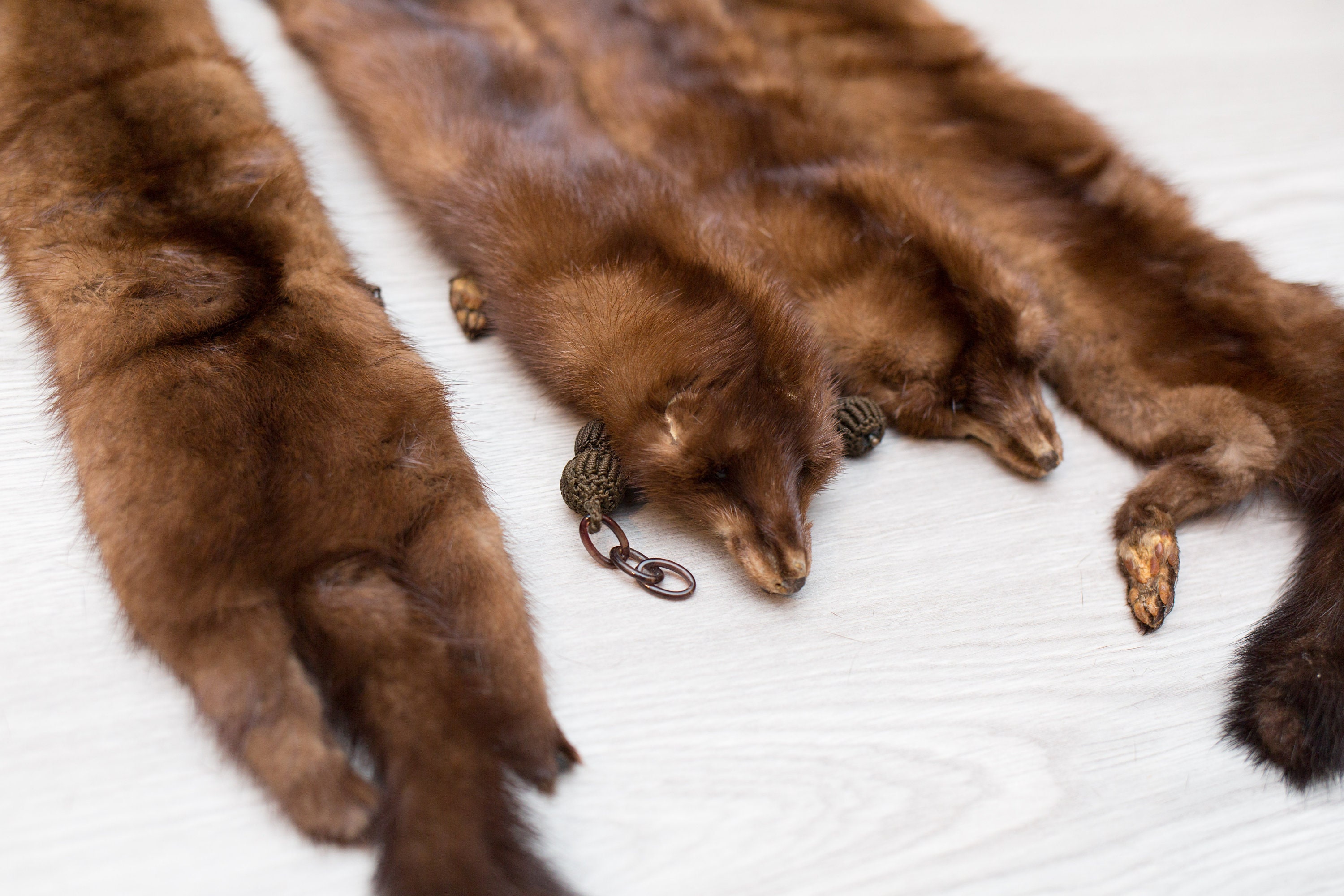 Mink Fur Stole 4 Clip on Mink Pelts and Fur Tail Canadian Brown Fur lifelike Mink with Face