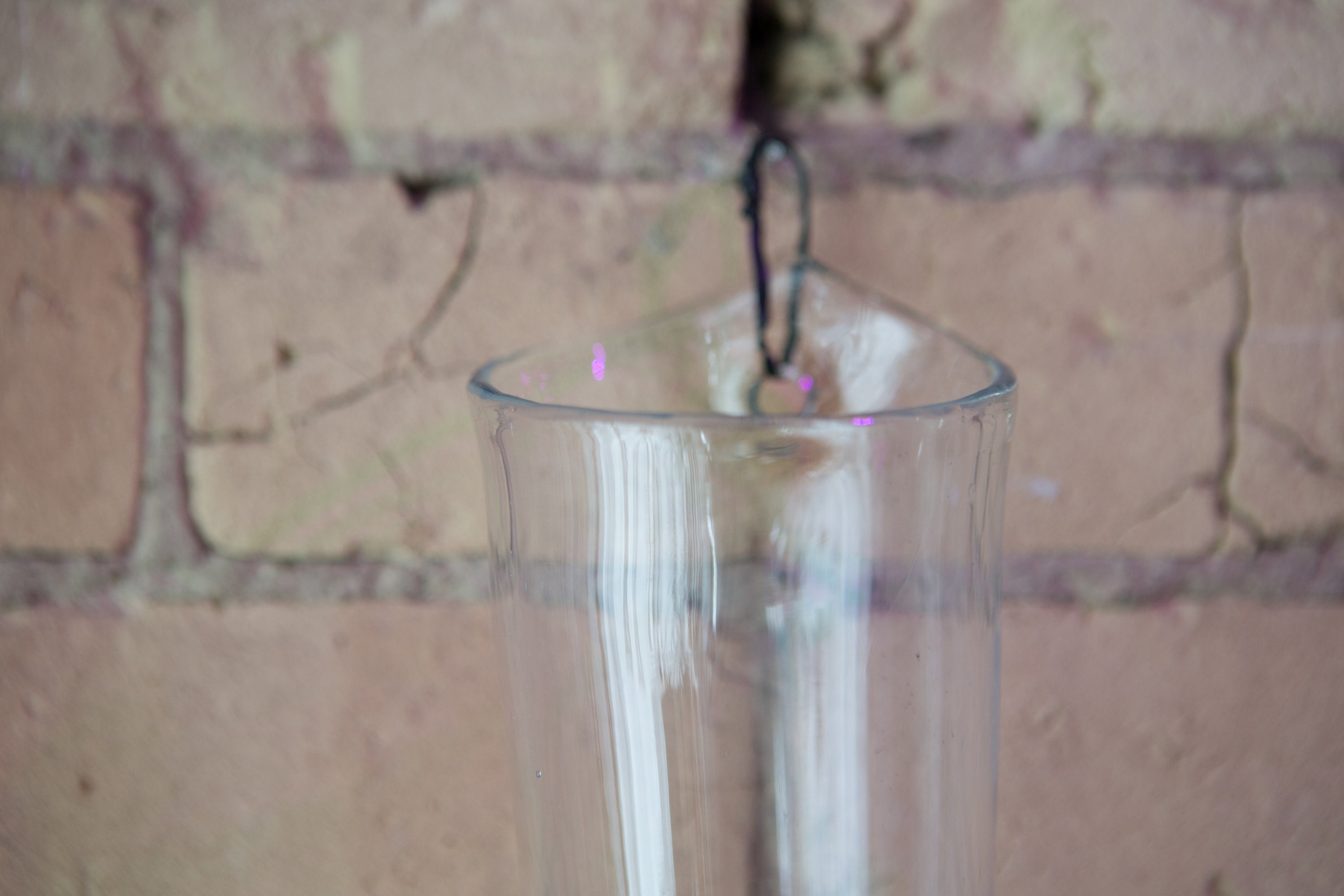 Glass Wall Vase Clear Glass Floating Hanging Flower Vase Minimalist