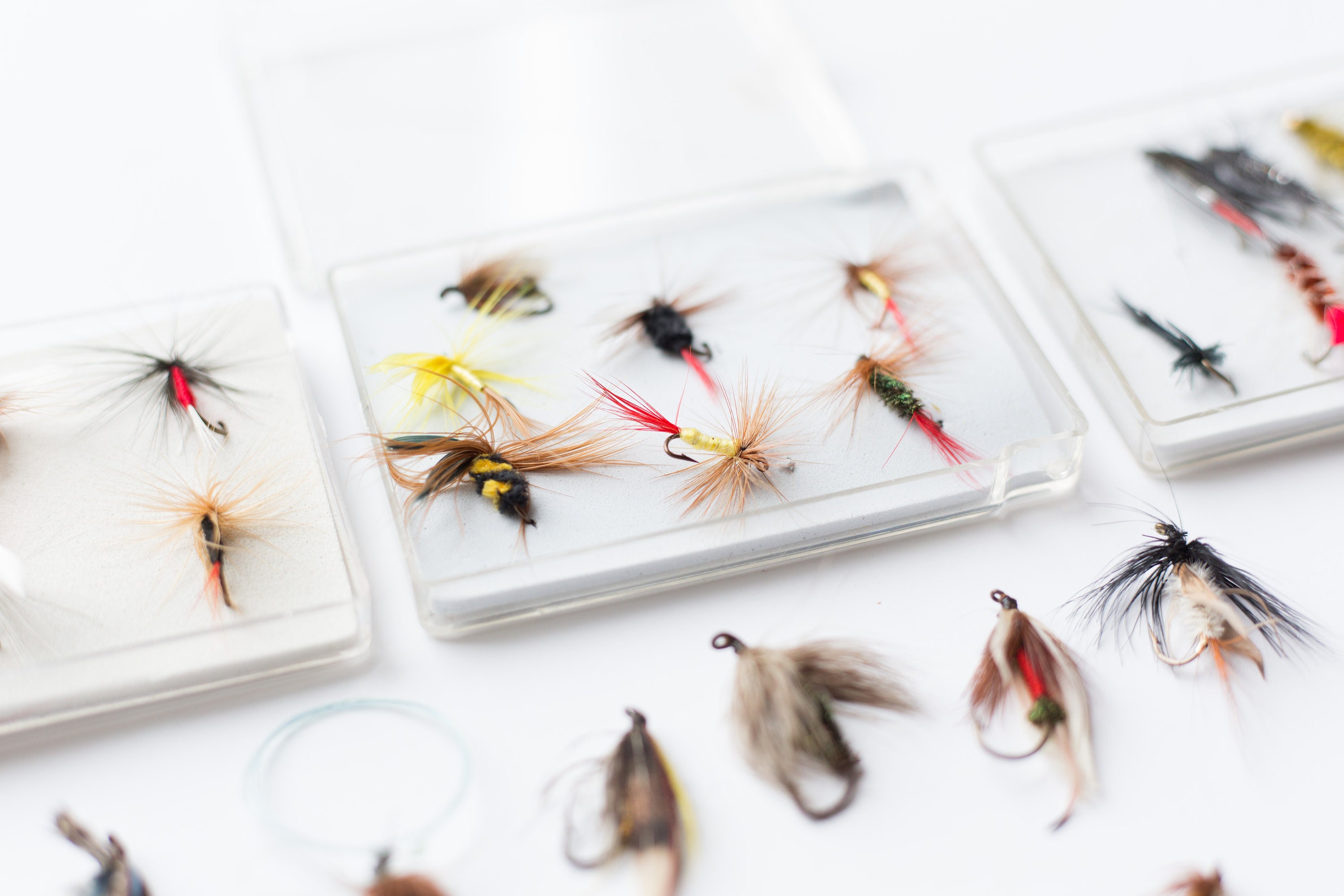 50 Vintage Fly Fishing Flies Tackle Retro Fish Lours Canadian Outdoor Cabin Decor