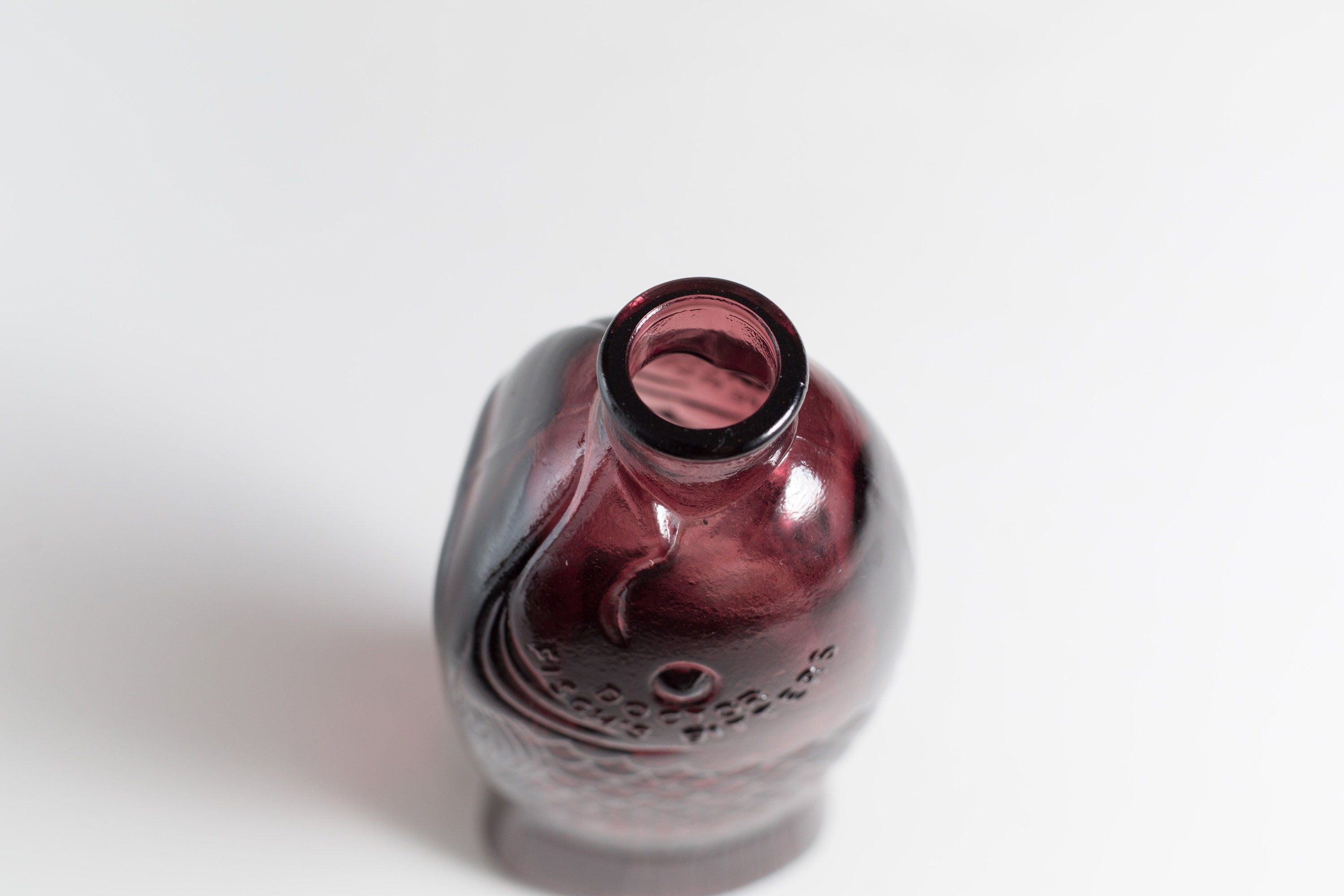 Dr. Fische's Bitters Bottle from Millville, New Jersey Amethyst Purple Vintage Apothecary