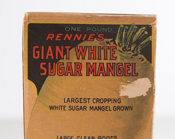 Rennie's Leviathan One Pound Largest Cropping Giant White Sugar Mangel Seeds from 1948 / Box of Antique Toronto Farmer's Organic Vegetable