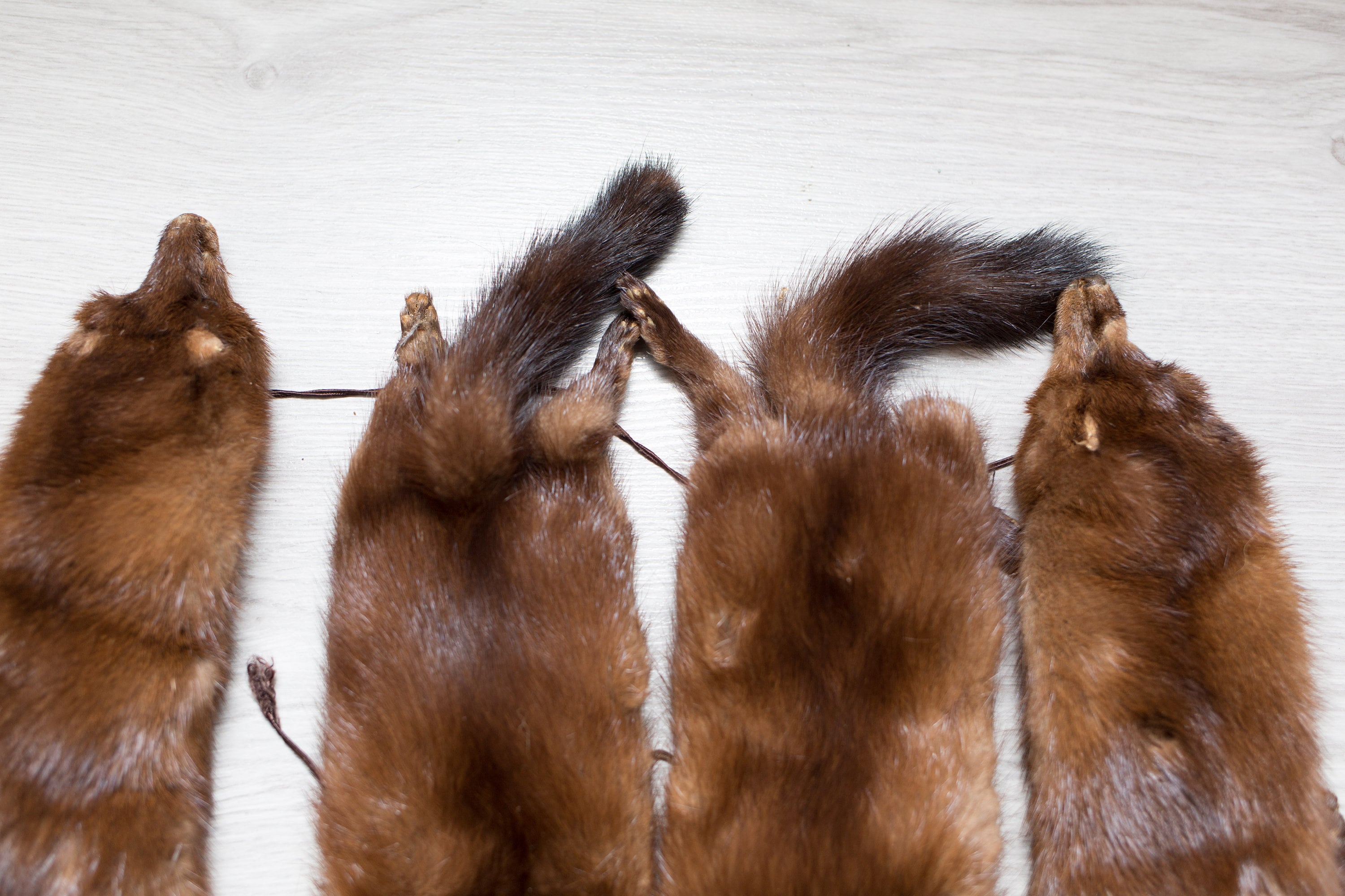 Mink Fur Stole 4 Clip on Mink Pelts and Fur Tail Canadian Brown Fur