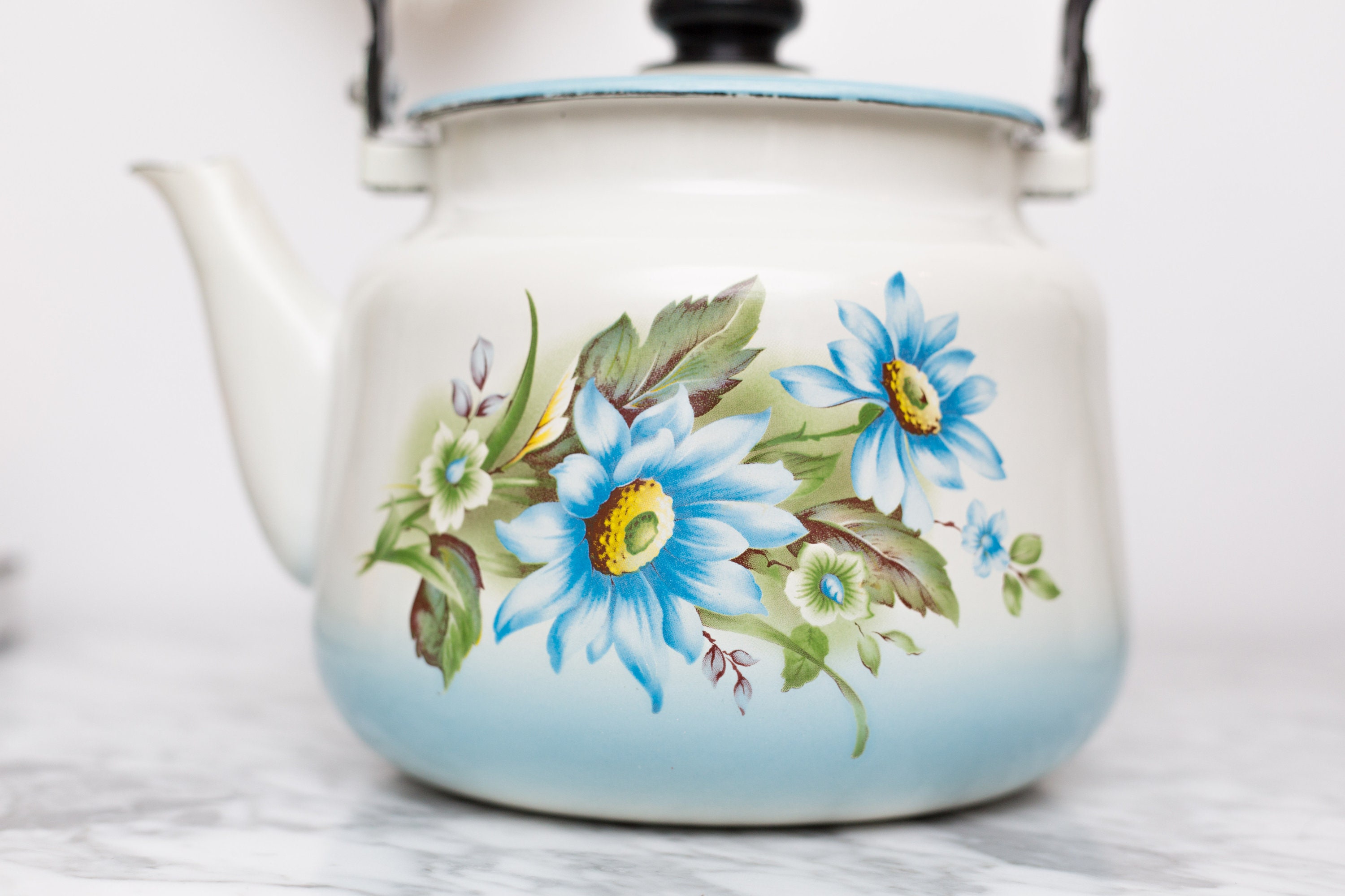 Enamel Floral Teapot Vintage Camping Stovetop Enamelware with Blue