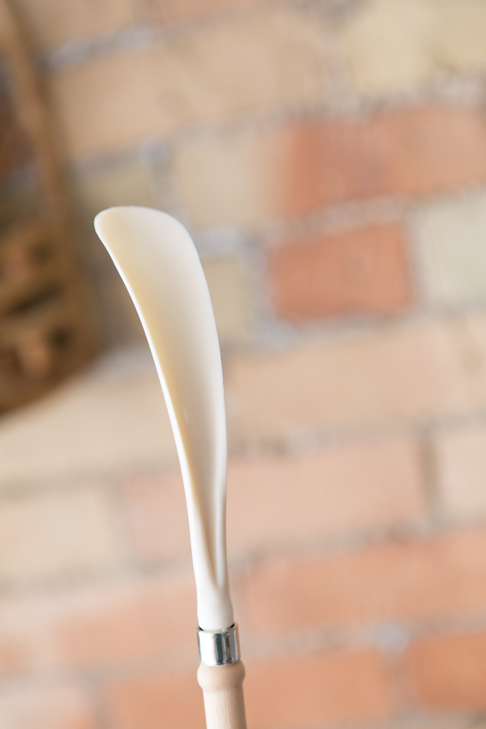 Vintage Shoe Horn and Back Scratcher