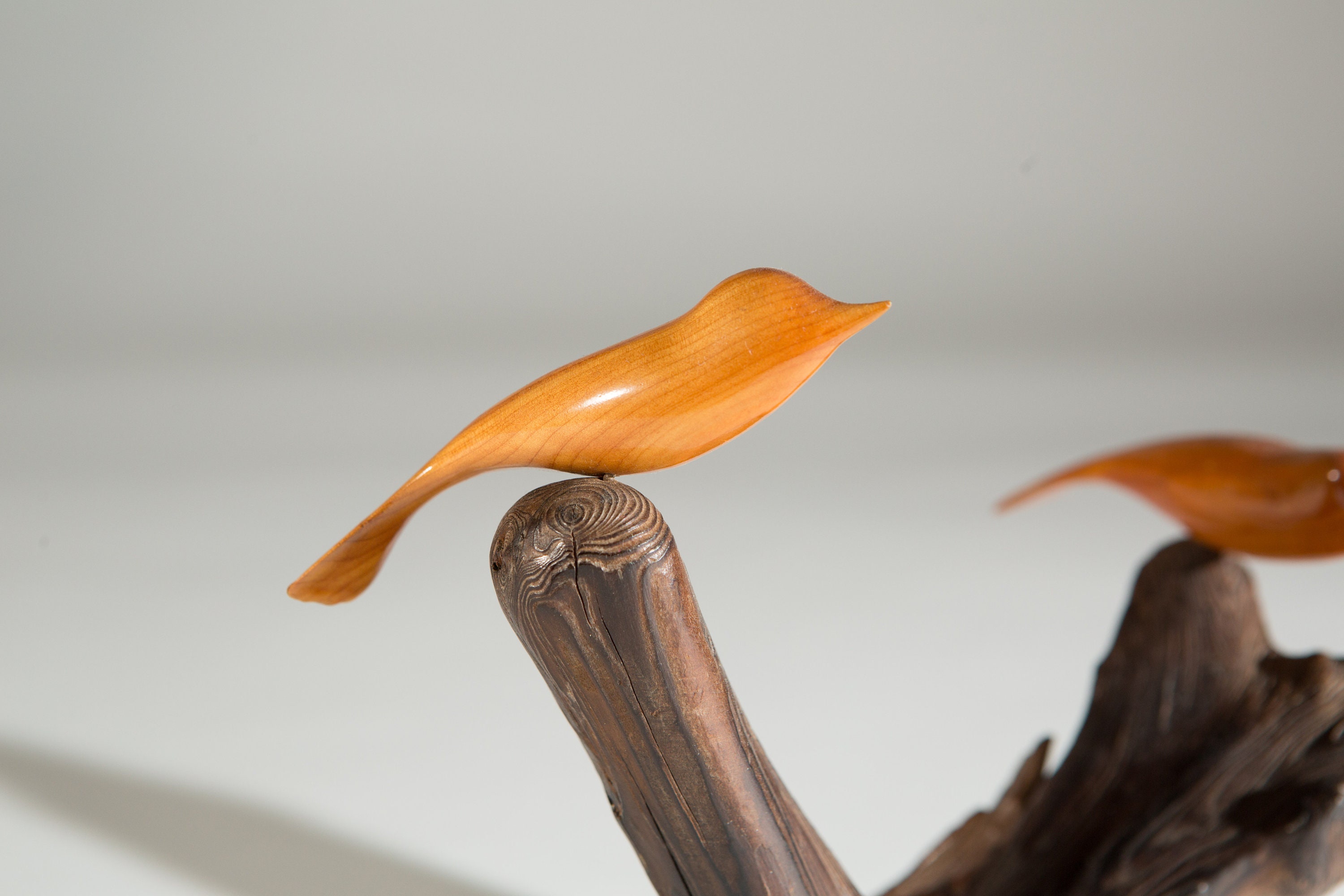 Explore artistic gems at Pinellasâ many galleries and festivals