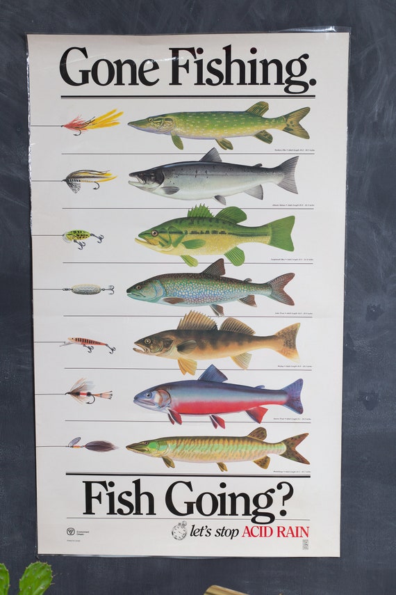 Ontario Fish Chart