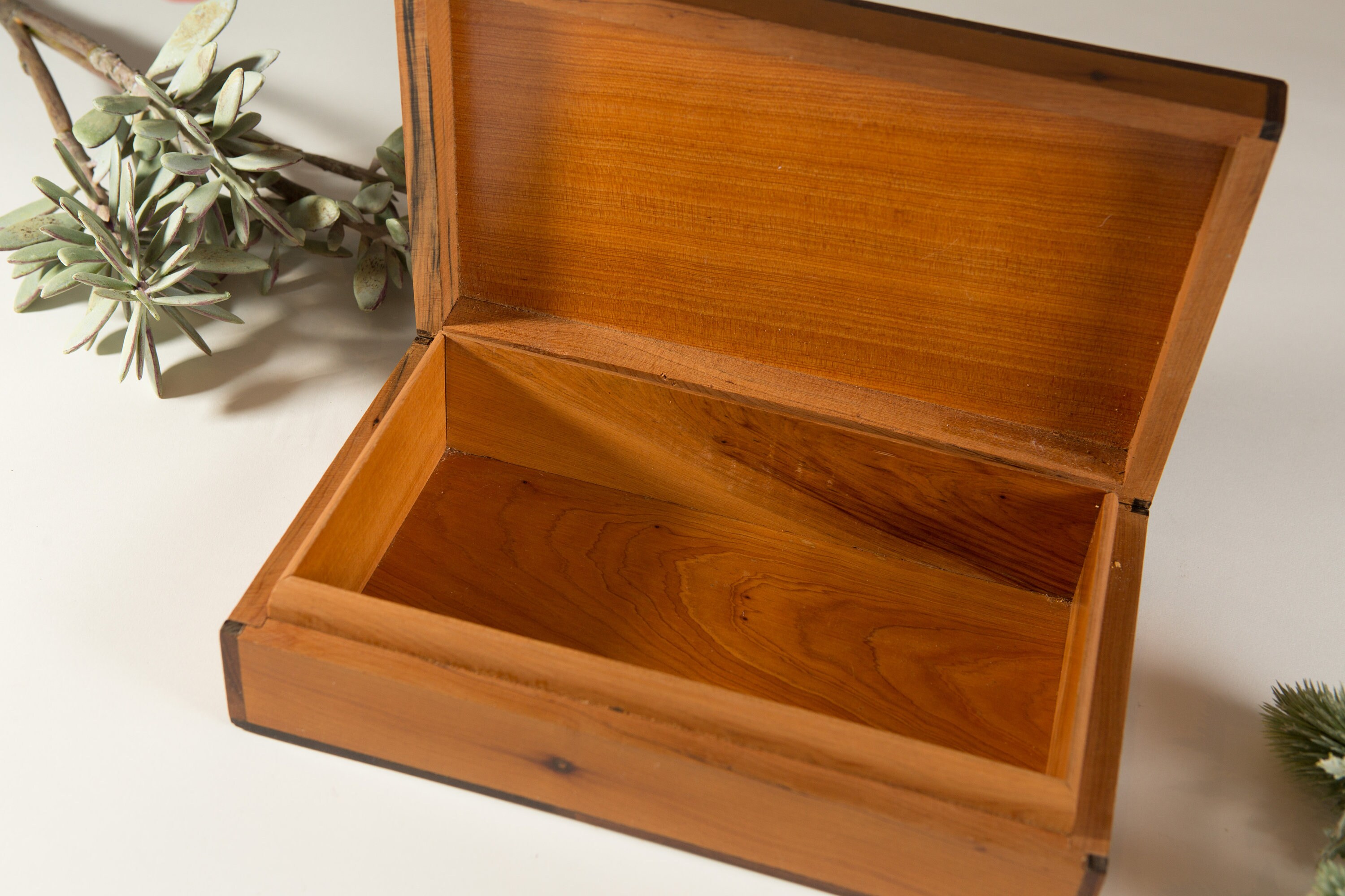 Wood Cigar Humidor Dunhill Birds Eye Maple Veneer Cedar Wood Cigar