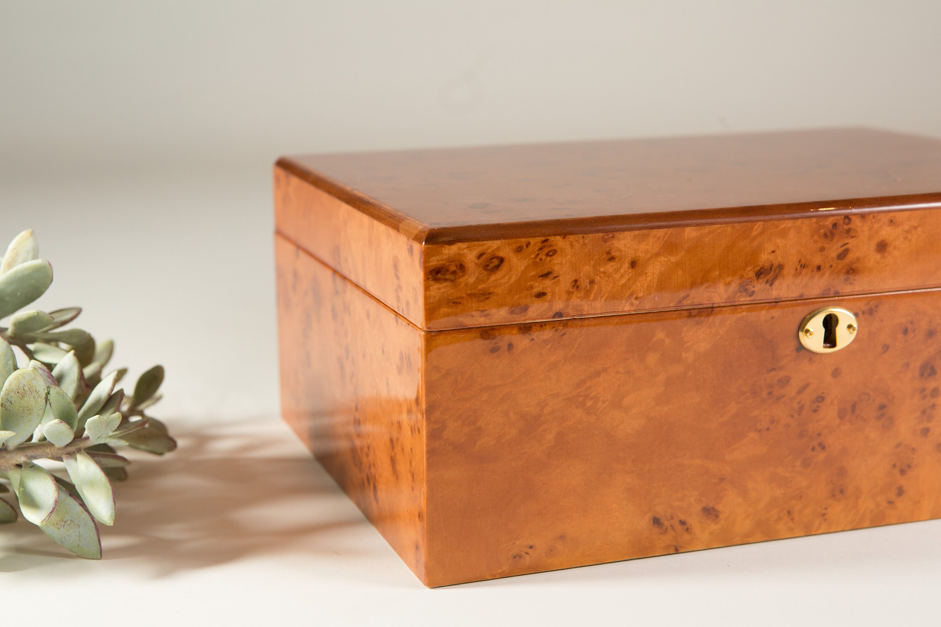 Wood Cigar Humidor Birds Eye Maple Veneer Cedar Wood Wood Cigar Humidor Birds Eye Maple Veneer Cedar Wood