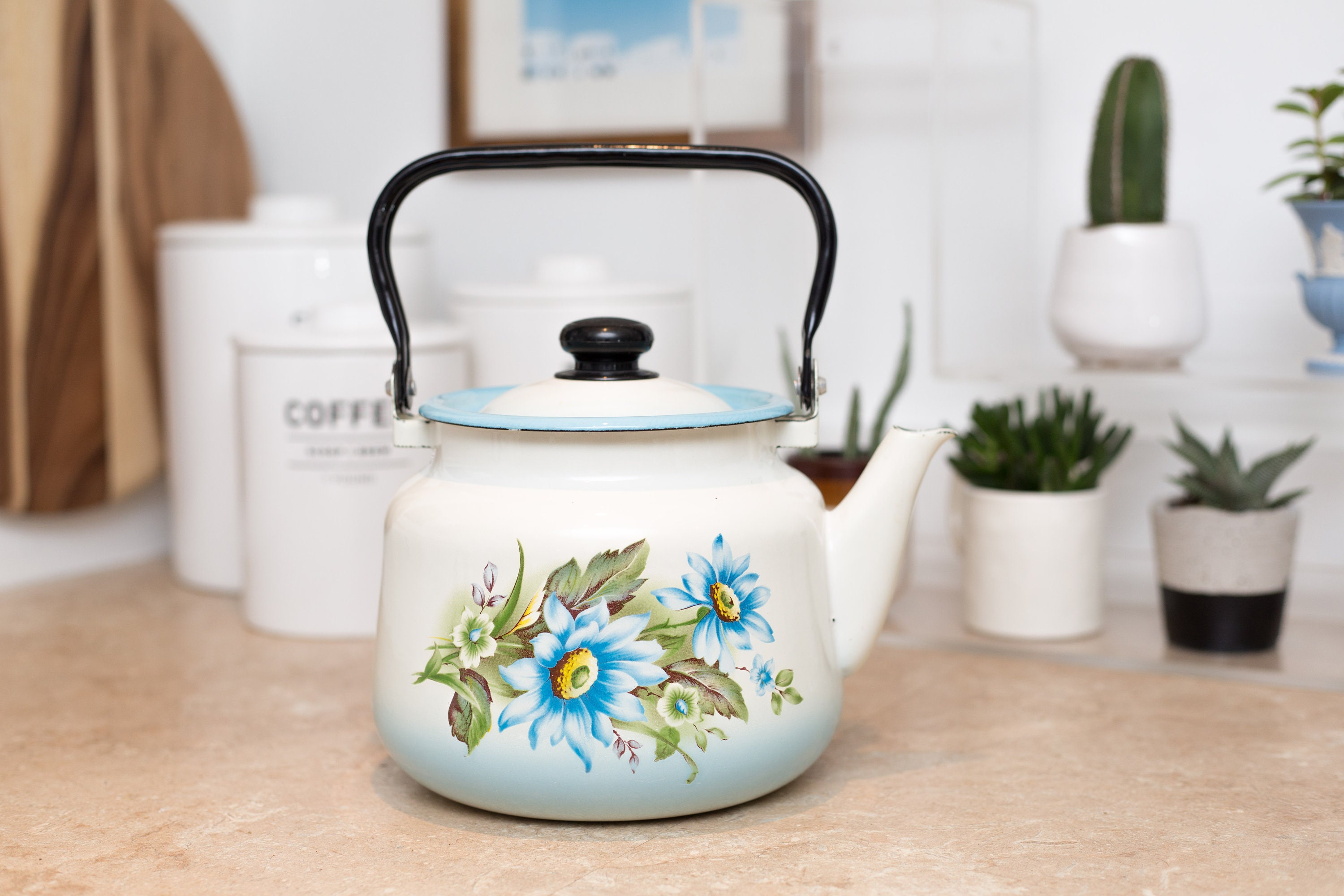 Enamel Floral Teapot Vintage Camping Stovetop Enamelware with Blue