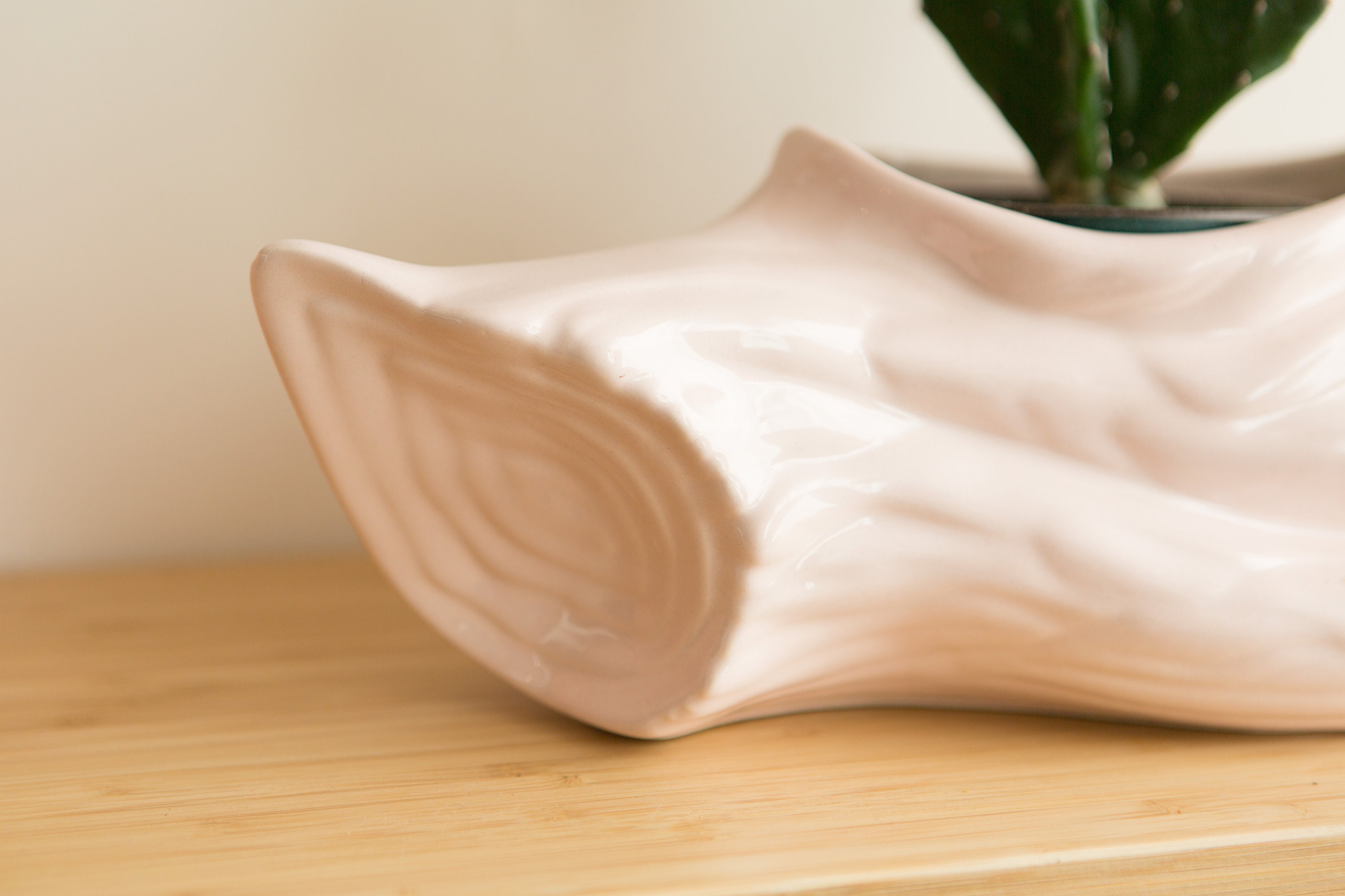 White Seashell Conch Portugal Planter