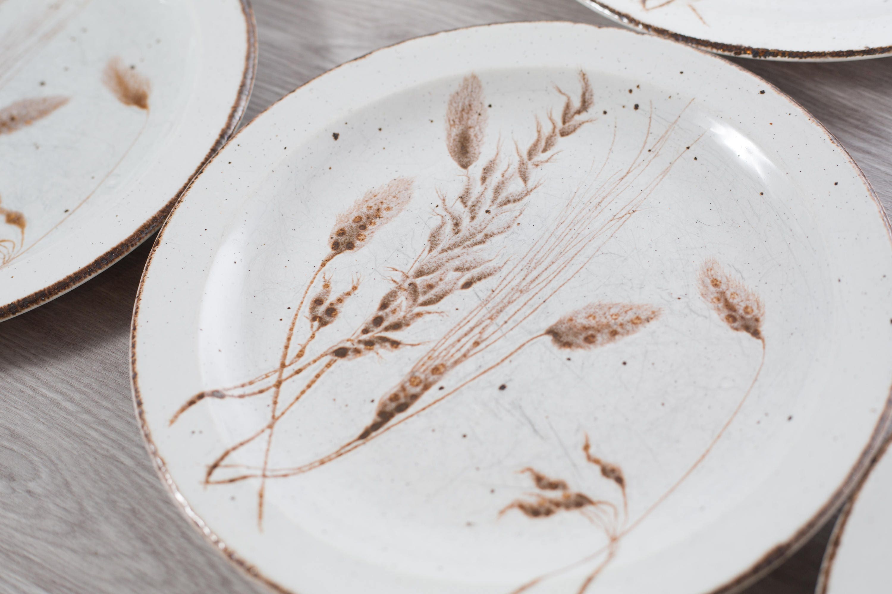 Stonehenge Wild Oats Plates / Set of 4 Rustic Cabin Cottage Dinner