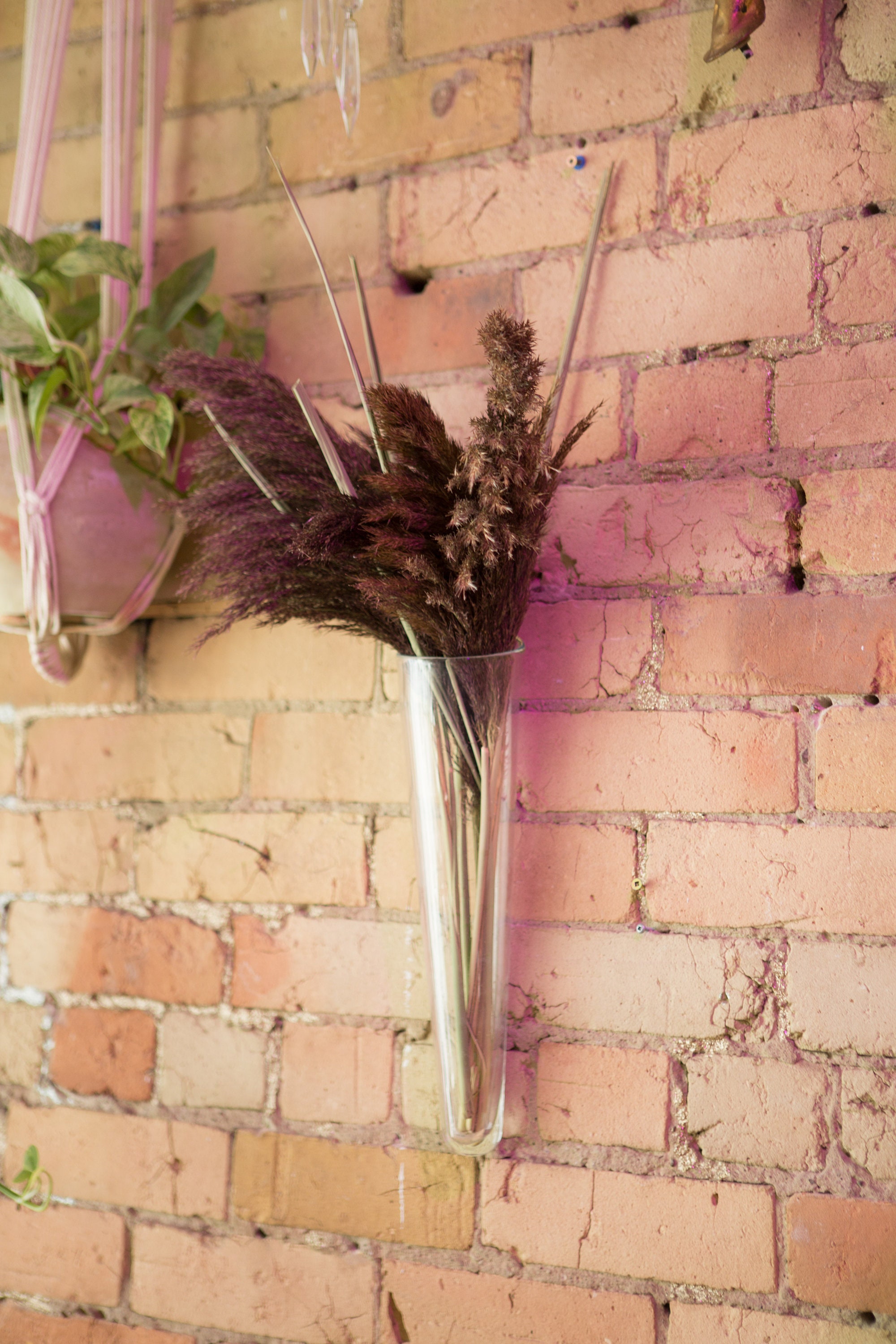 Glass Wall Vase Clear Glass Floating Hanging Flower Vase Minimalist