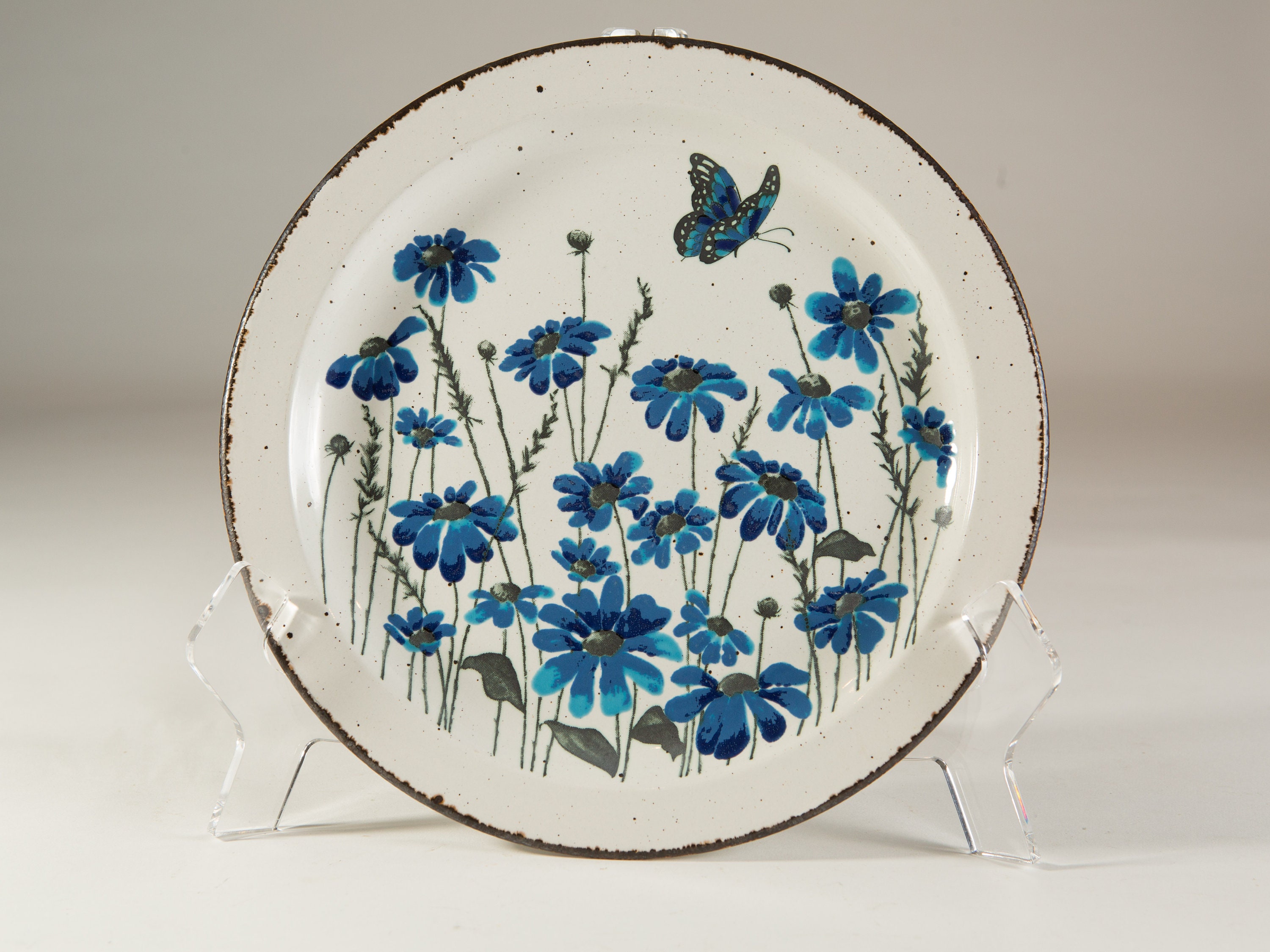Stonehenge midwinter clearance plates