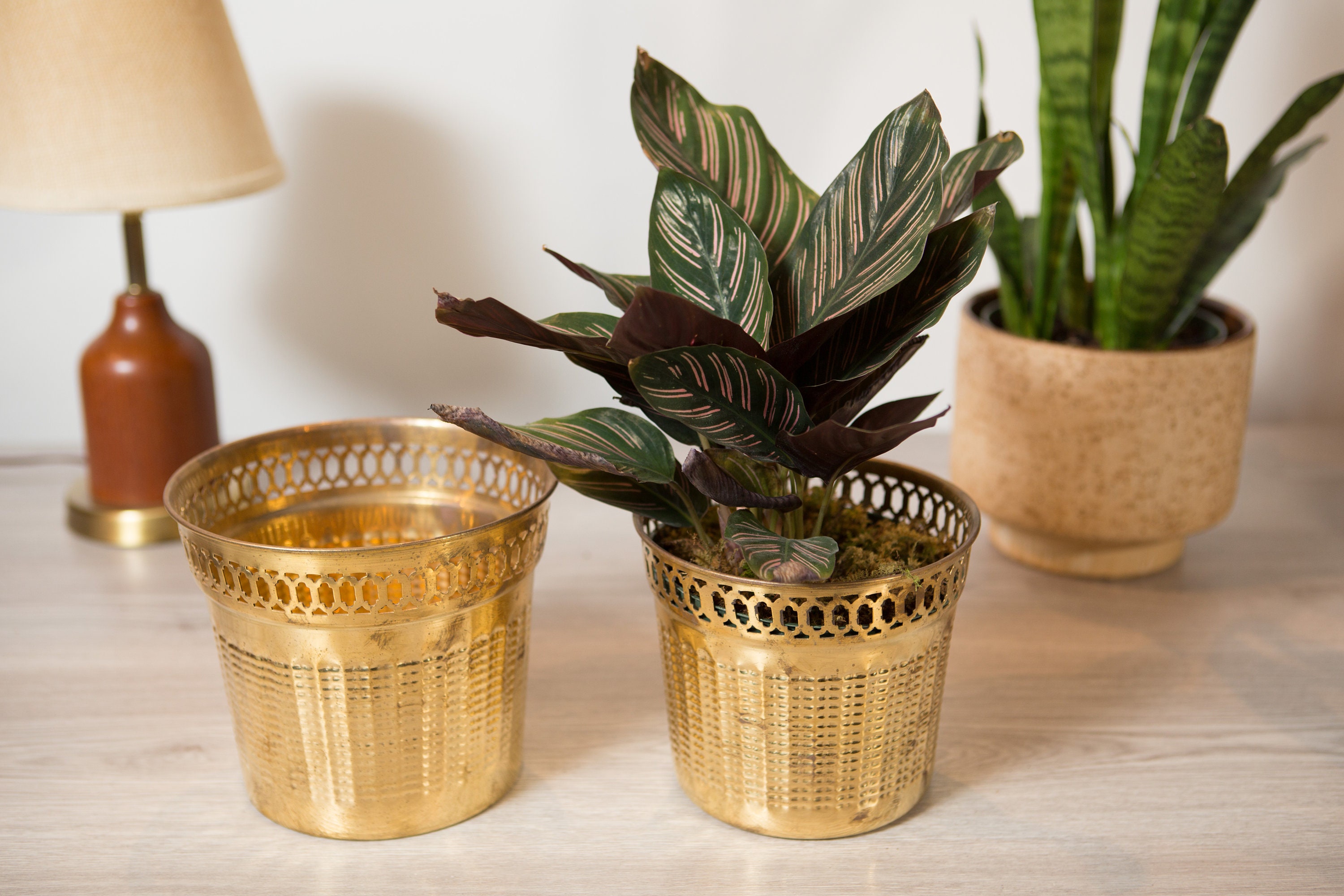 Vintage Brass Planters Round Metal Bras Pots for Succulents, Cactus