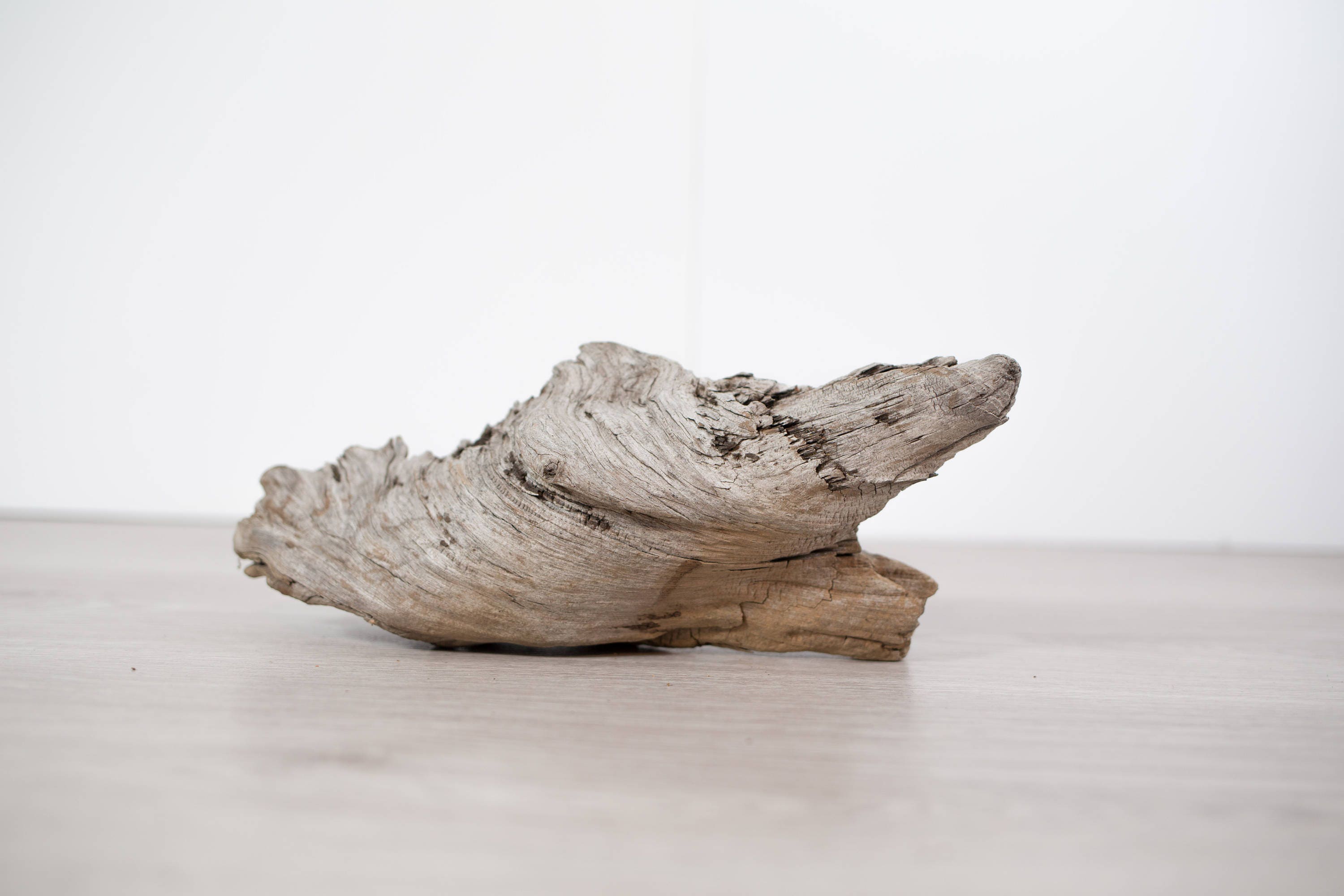 Driftwood Natural Art Tabletop Decor / Arctic Ocean NWTT Canada