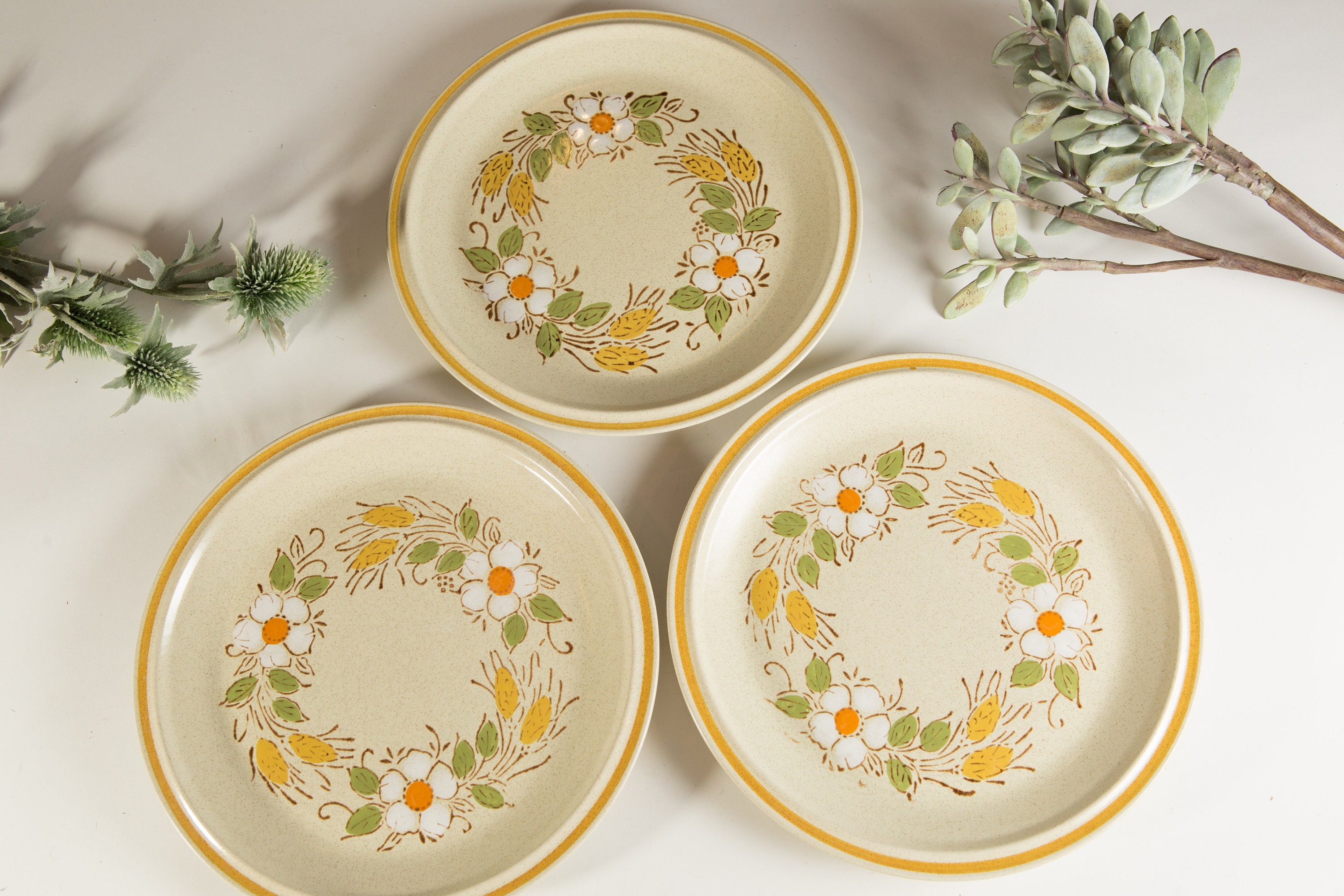 3 Vintage Dinner Plates with Floral Pattern - Prairie ...