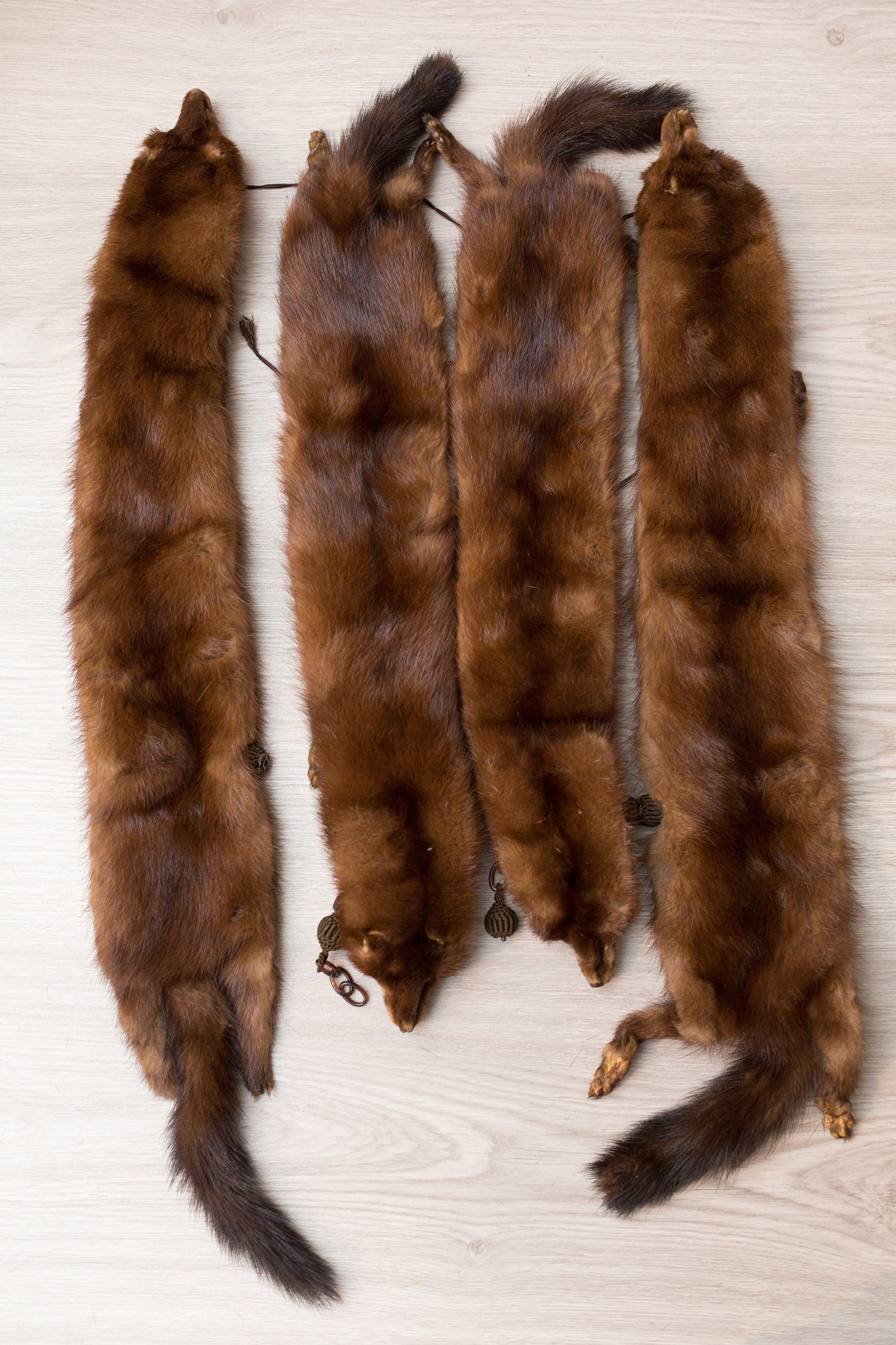 Mink Fur Stole 4 Clip on Mink Pelts and Fur Tail Canadian Brown Fur