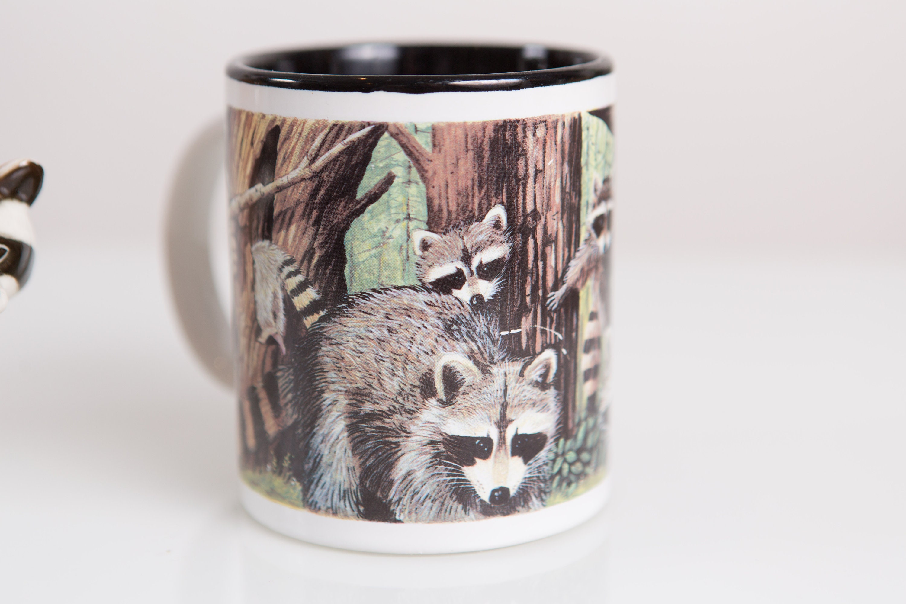 raccoon toothpicks raccoon toothpicks