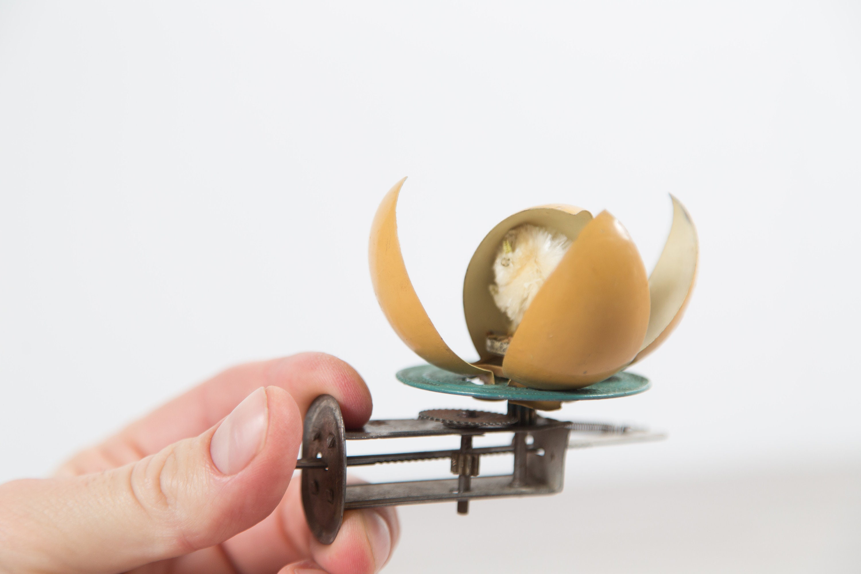 Egg spinner best sale toy