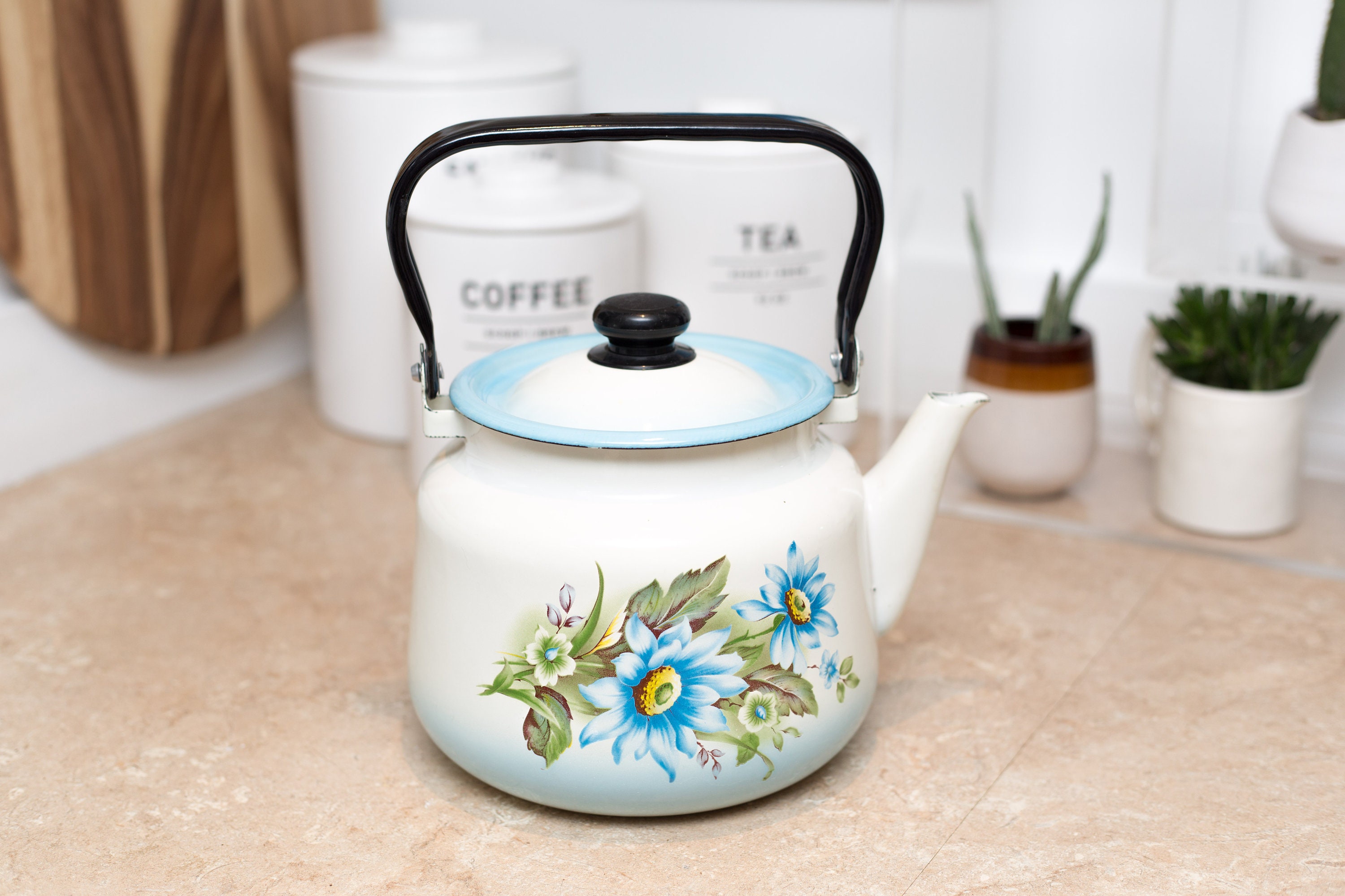 Enamel Floral Teapot Vintage Camping Stovetop Enamelware with Blue
