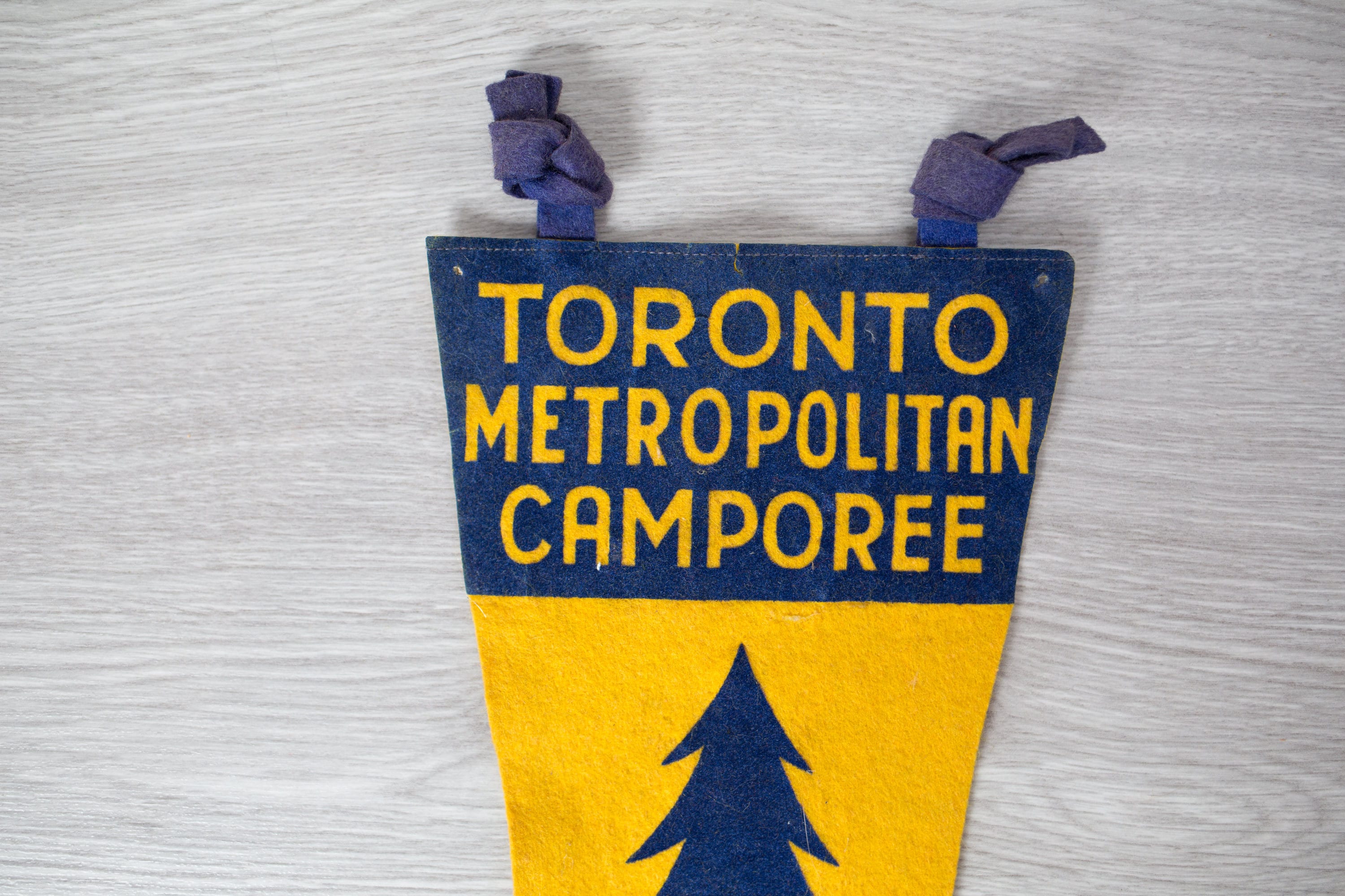 Vintage Toronto Pennant / 1950's Felt Souvenir Hanging Triangle Shaped