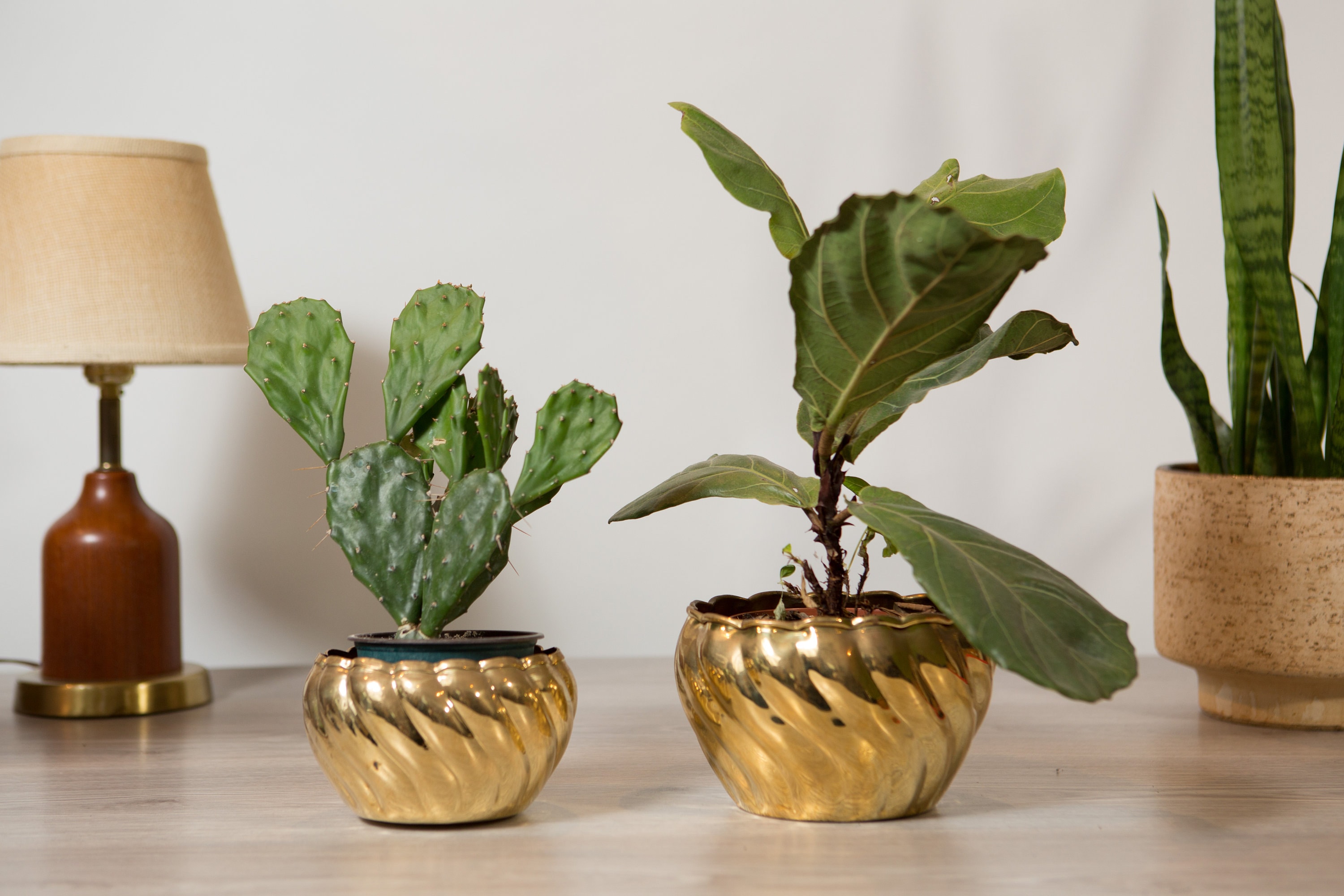 2 Vintage Brass Planters - Round Metal Scalloped Bras Pots for Succulents,  Cactus, Plants, Herbs, etc - Gold Coloured Bowls