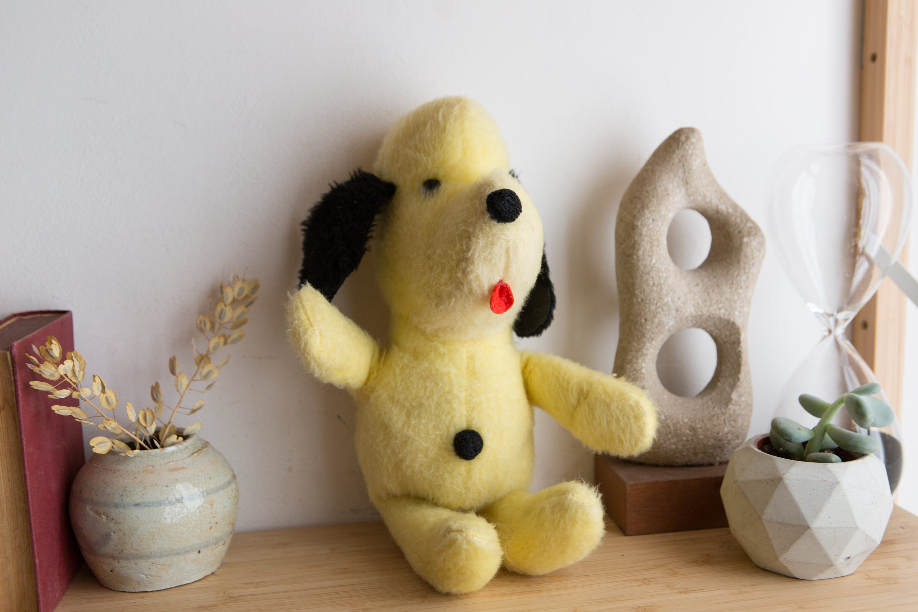 vintage dog teddy