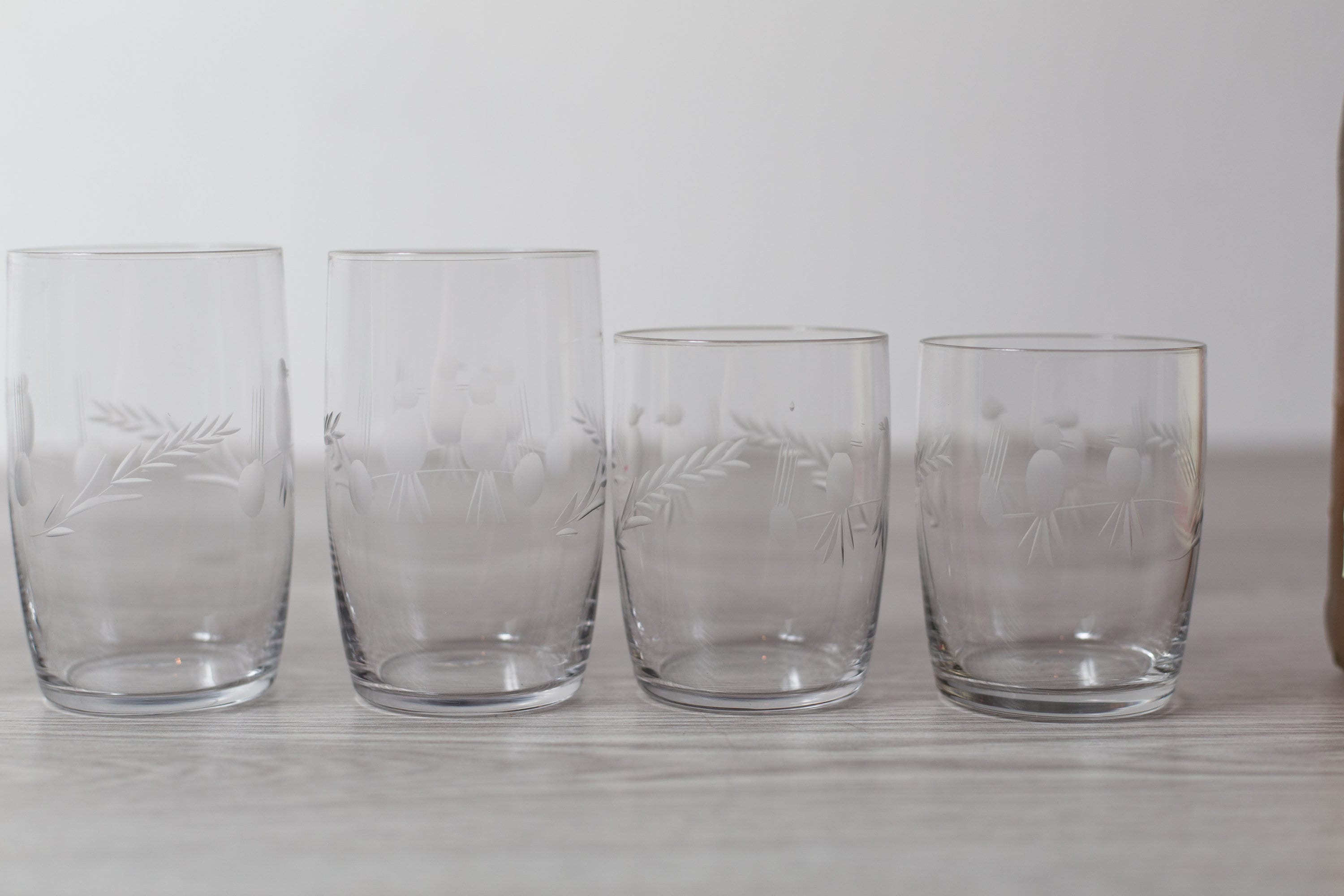 10 bird Cocktail Glasses Etched Lovebirds Glassware Parrot Sitting