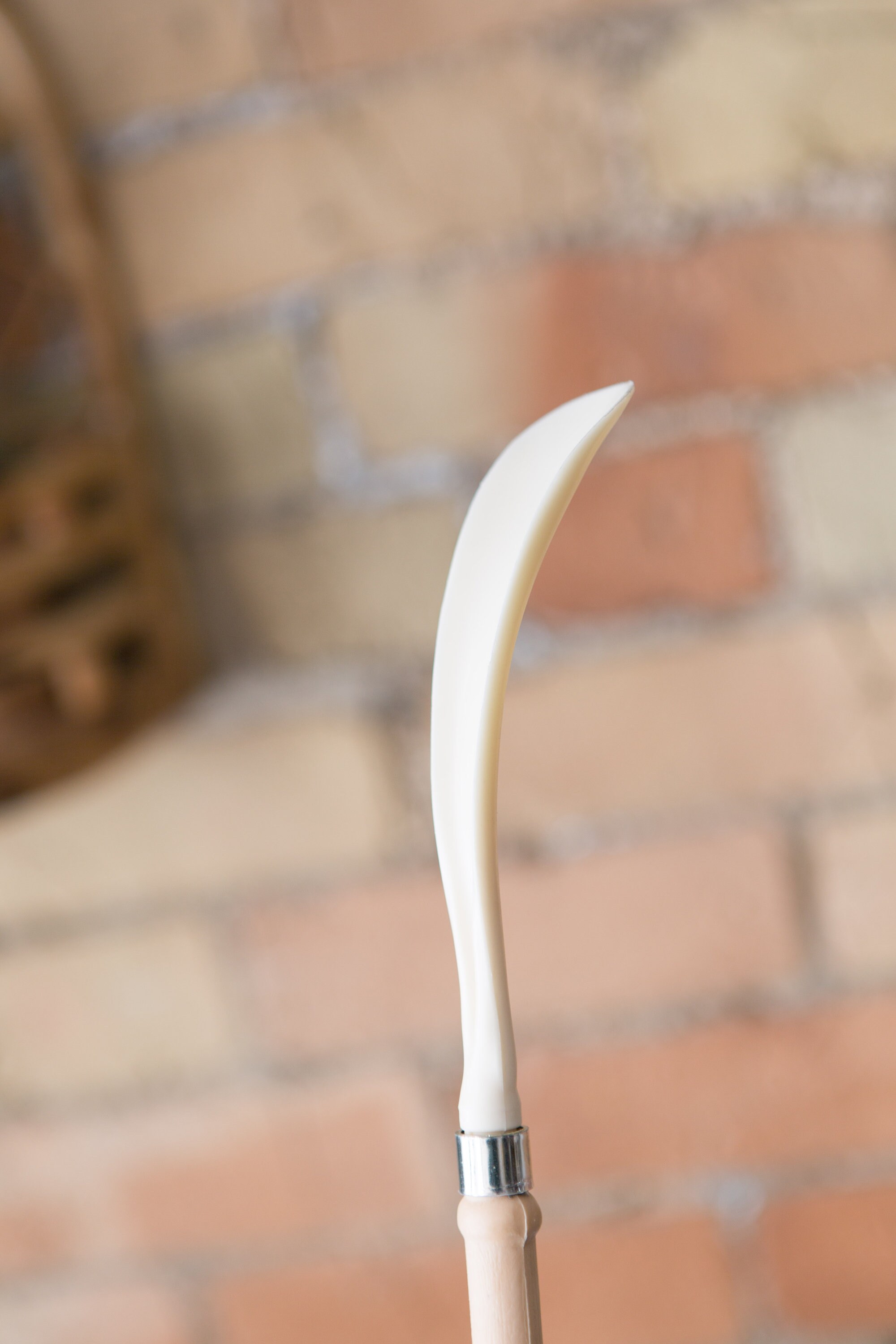 Vintage Shoe Horn and Back Scratcher