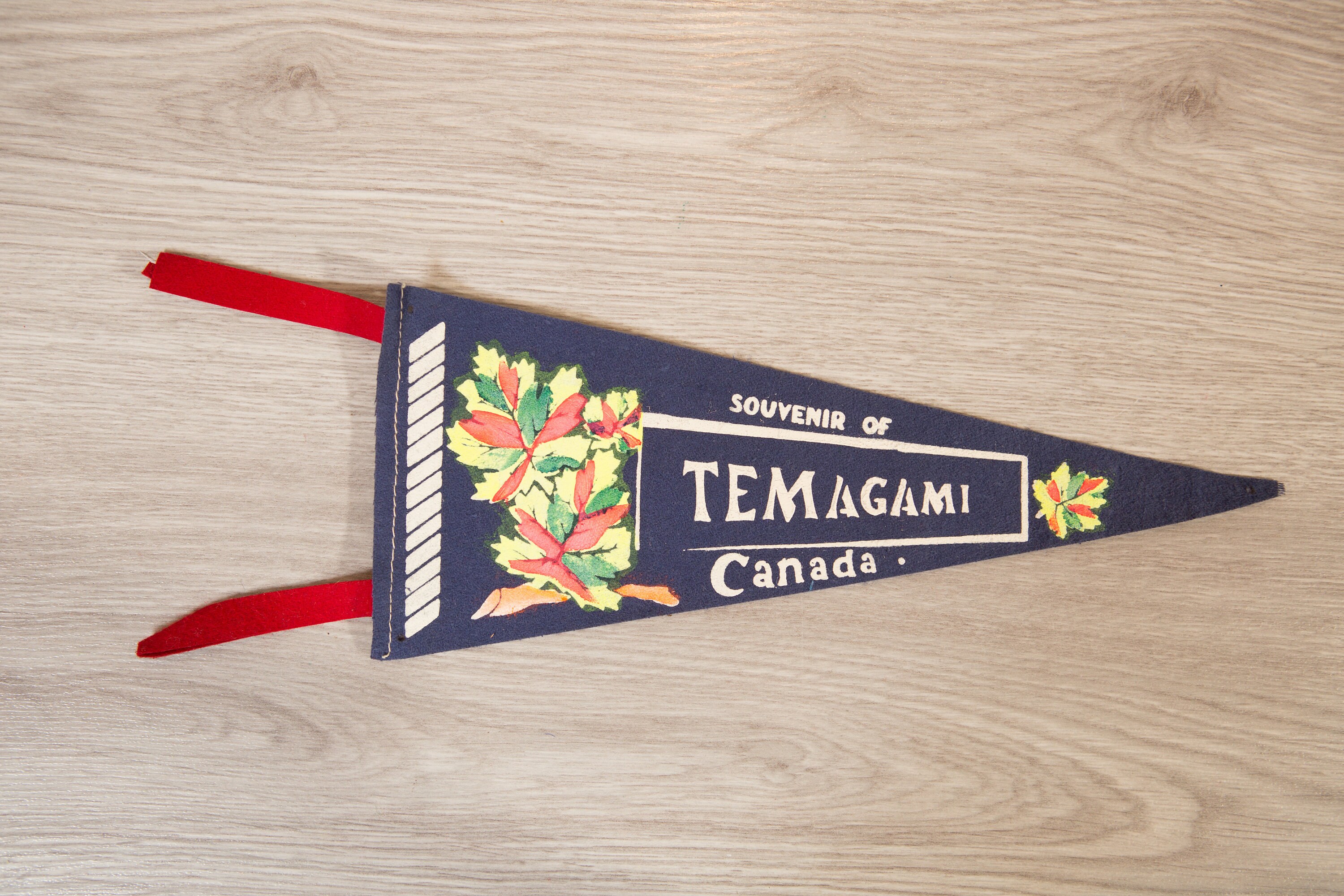 Temagami, Canada Pennant Vintage Canadian Felt Souvenir Hanging Triangle Shaped Wall Decor