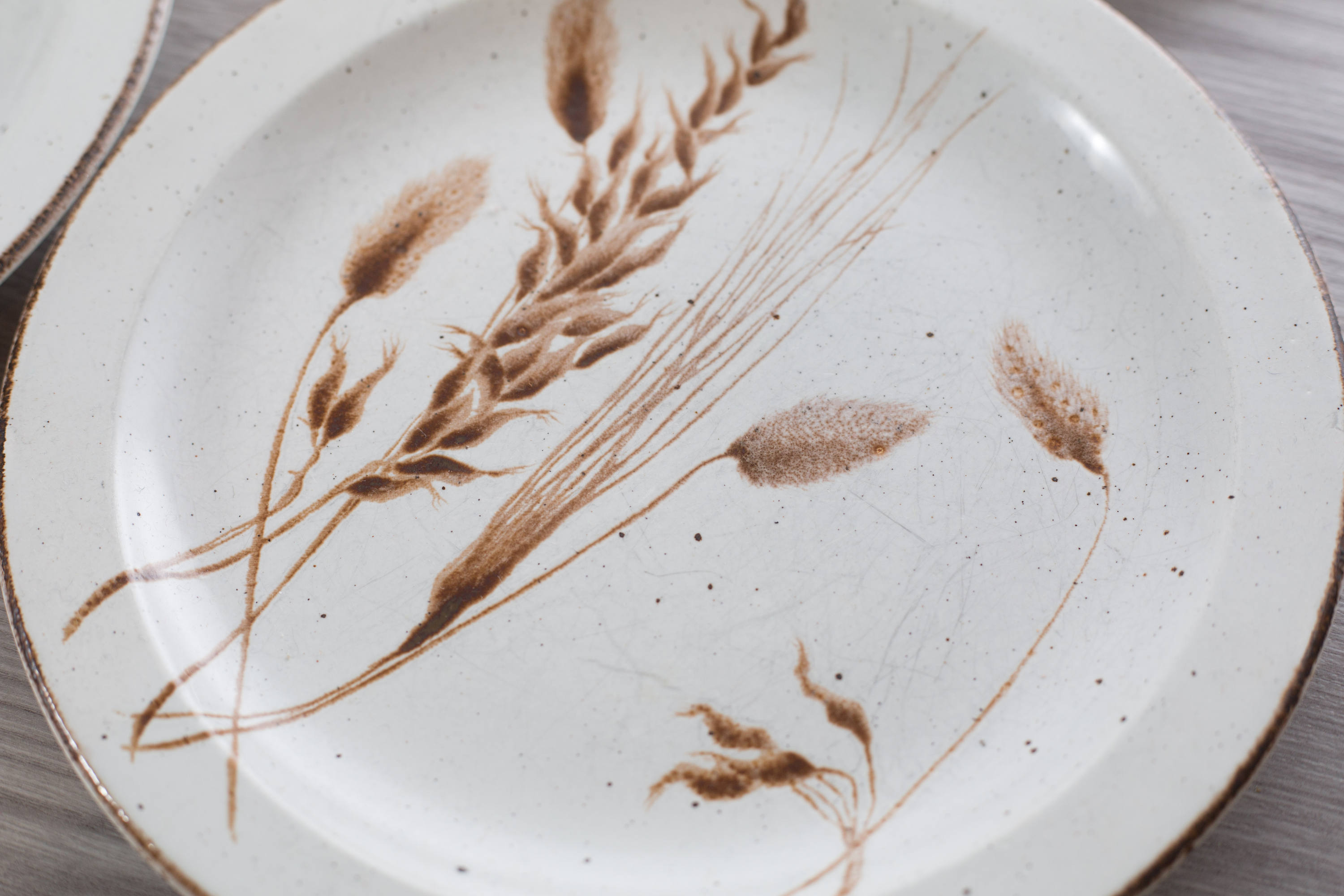 Stonehenge Wild Oats Plates / Set of 4 Rustic Cabin Cottage Dinner