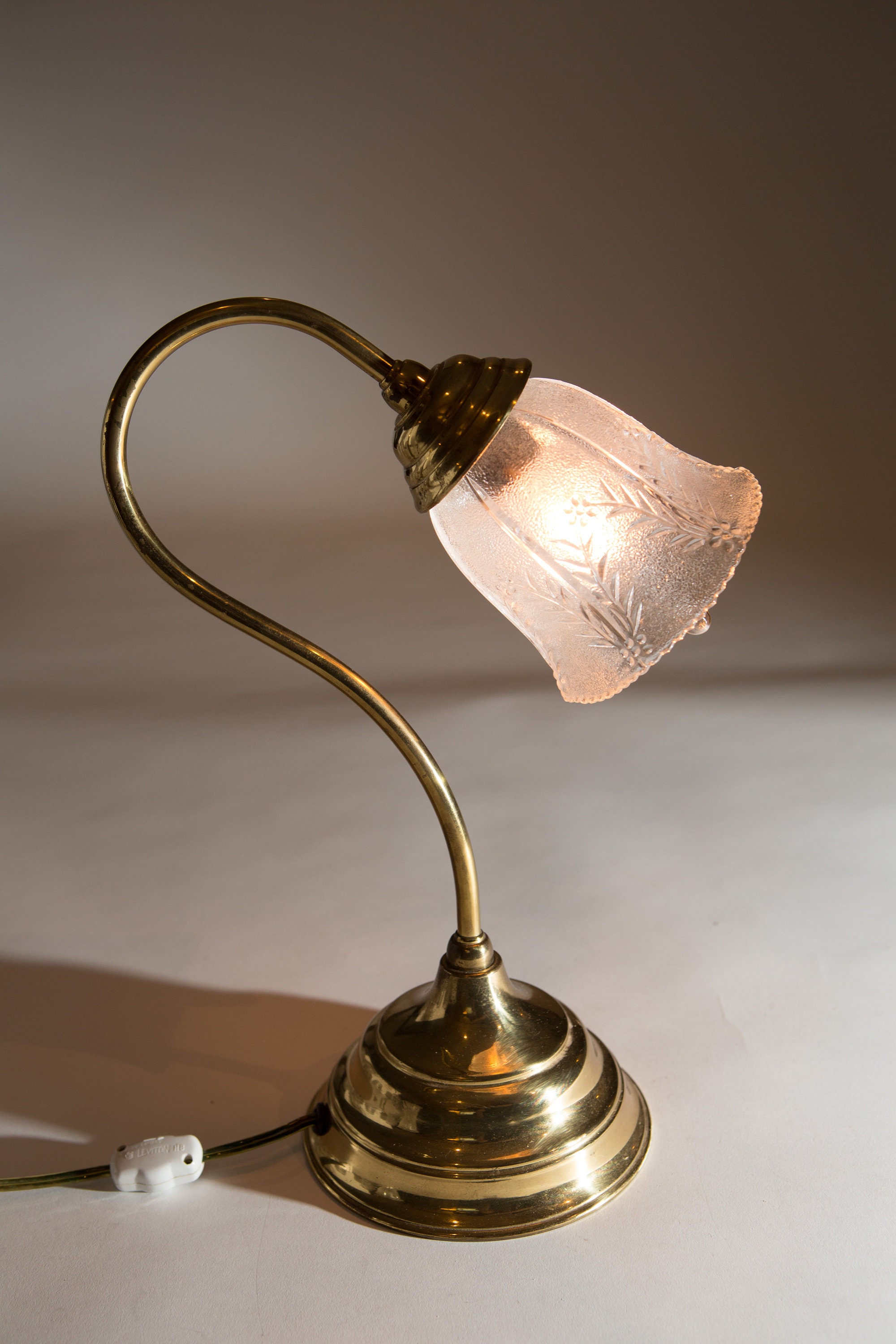 Vintage Starburst Glass Lamp Shades Translucent Berries and Fauna