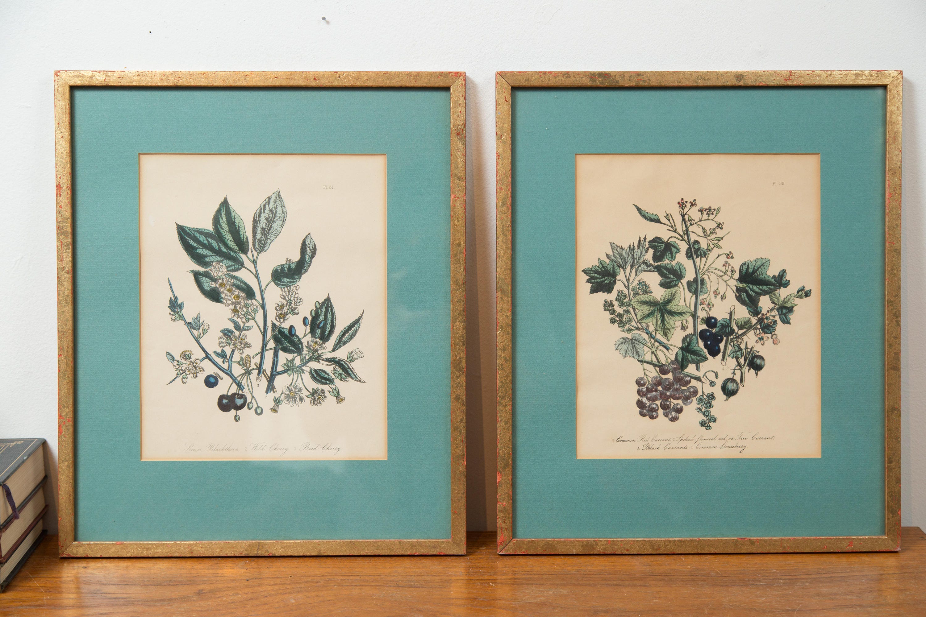 Antique Lithographs Pair of Framed Prints of Berries, Leaves, Fruit