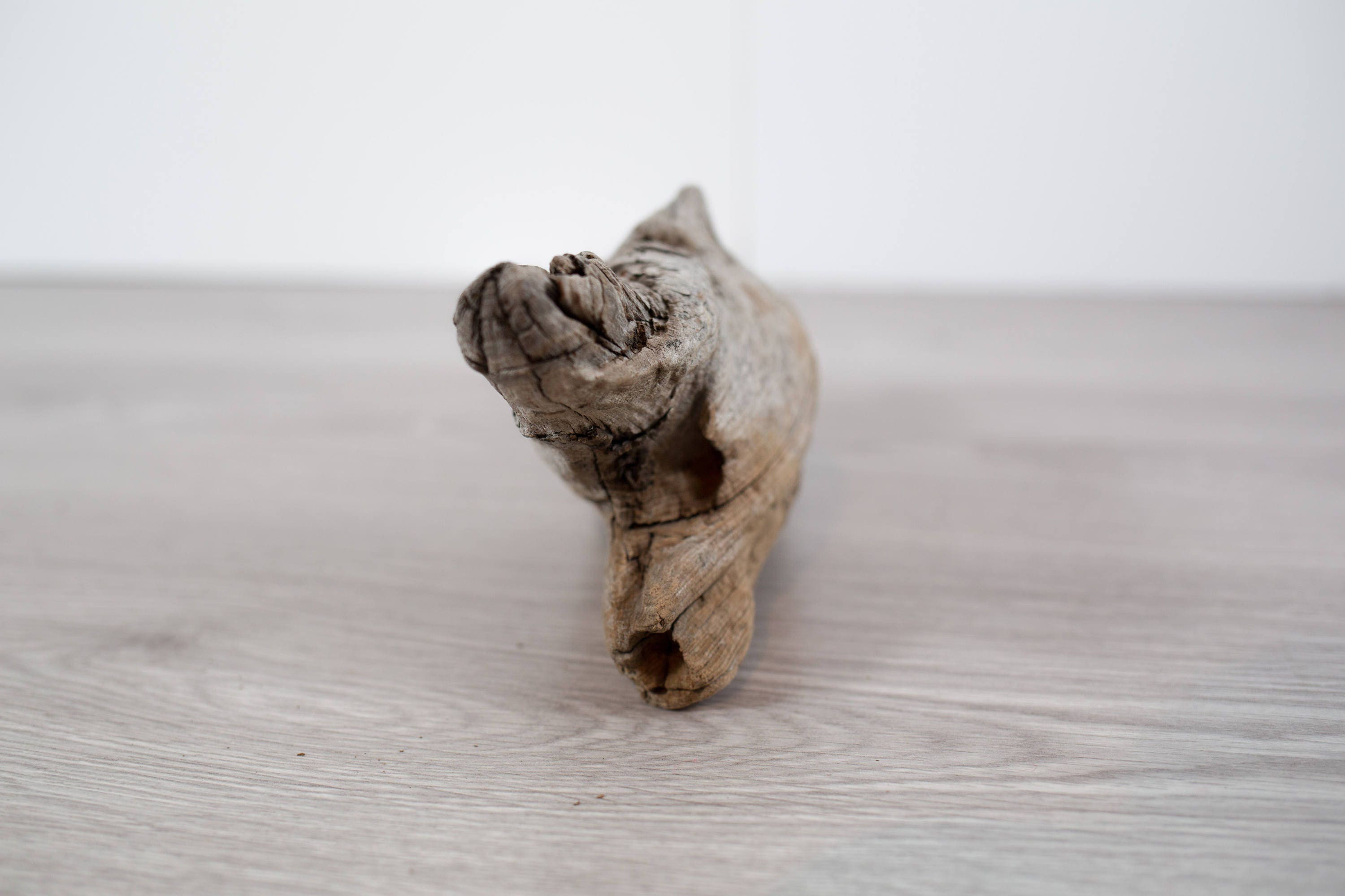 Driftwood Natural Art Tabletop Decor / Arctic Ocean NWTT Canada