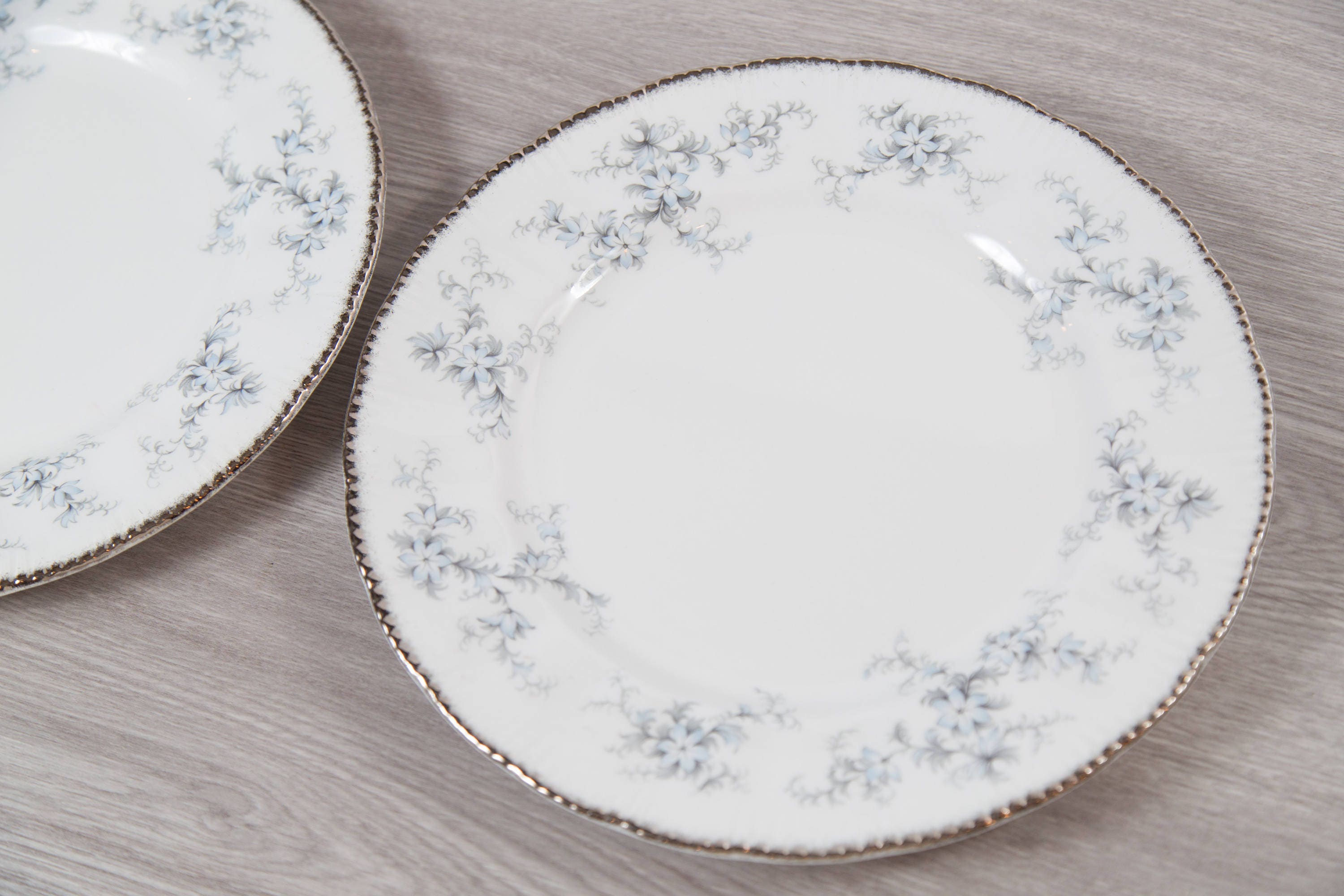 Paragon Plate Pair Brides Choice Pattern Dinner Plates Fine Bone