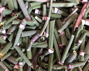 Horse tail herb, wild harvested, free shipping