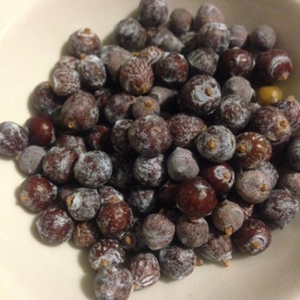 Juniper berries, wild harvested, new harvest! 3-oz, free shipping!