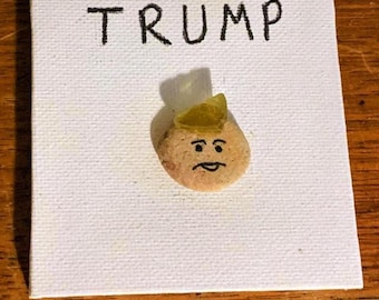 TRUMP (whether you aren’t a fan or you are) SEAGLASS ART